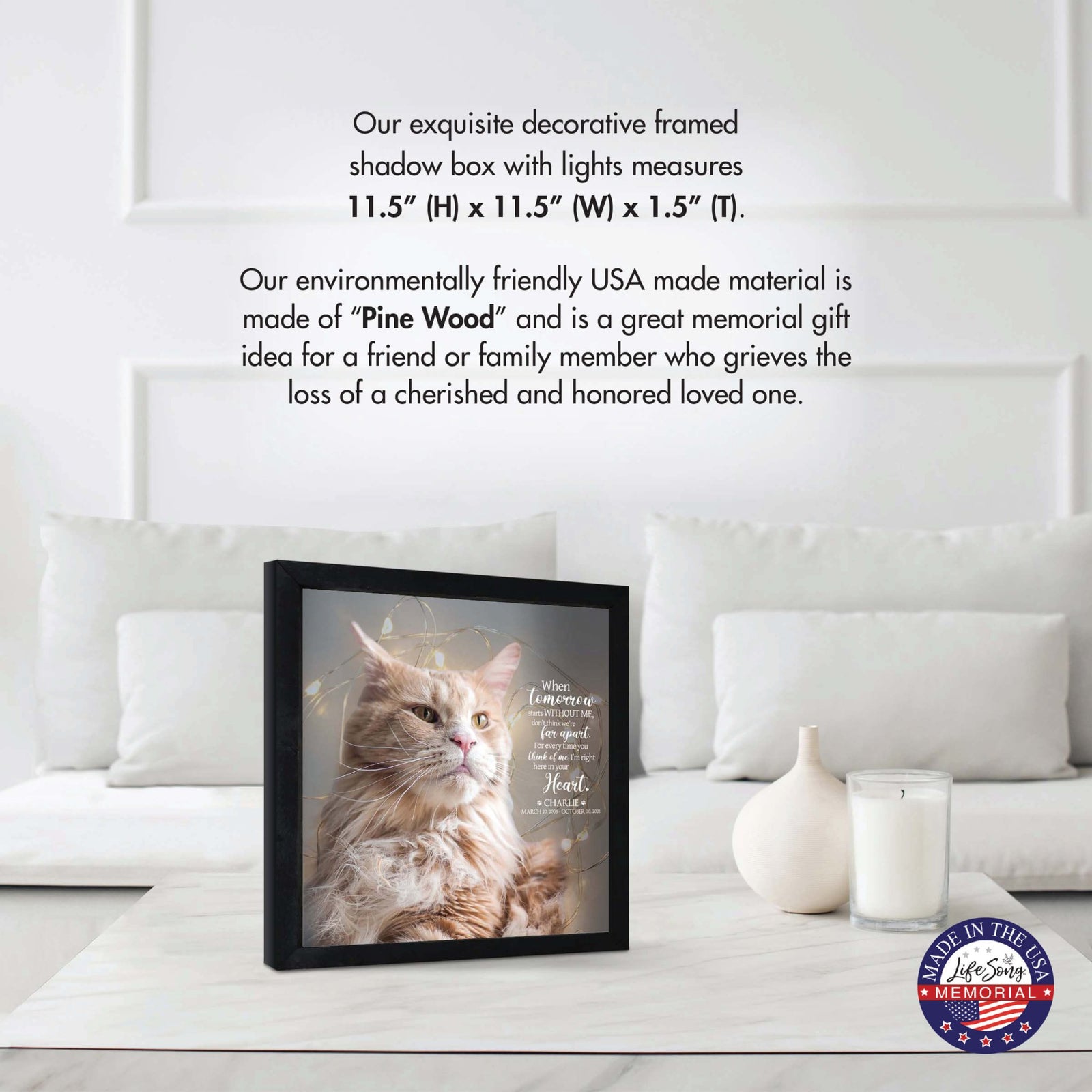 Custom Pet Memorial Framed Shadow Box Wall Décor for the Loss of Beloved Pet - When Tomorrow Starts - LifeSong Milestones
