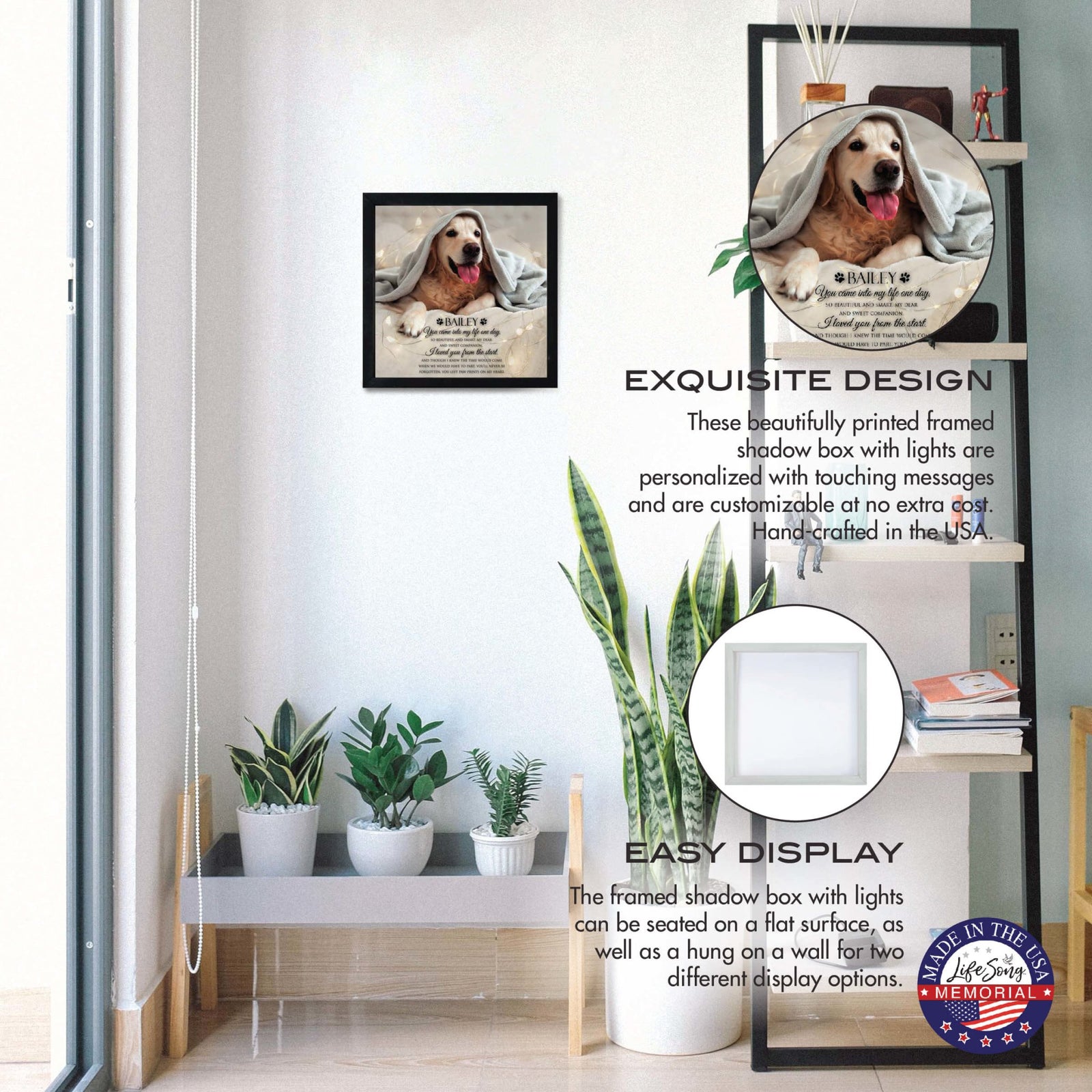 Custom Pet Memorial Shadow Box Wall Décor for the Loss of Beloved Pet - You Came Into My Life - LifeSong Milestones