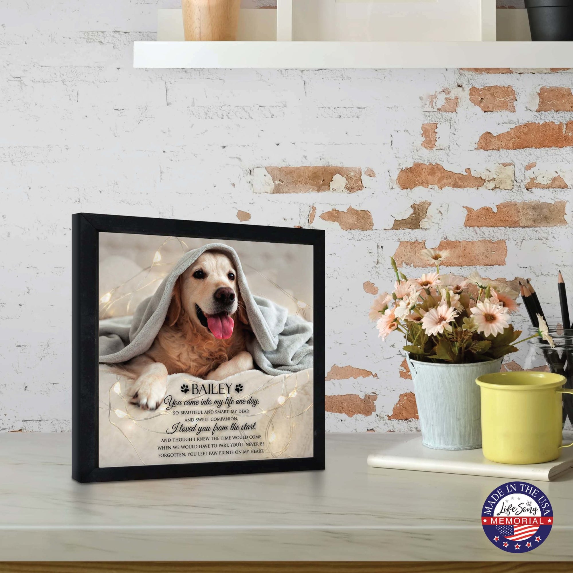 Custom Pet Memorial Shadow Box Wall Décor for the Loss of Beloved Pet - You Came Into My Life - LifeSong Milestones