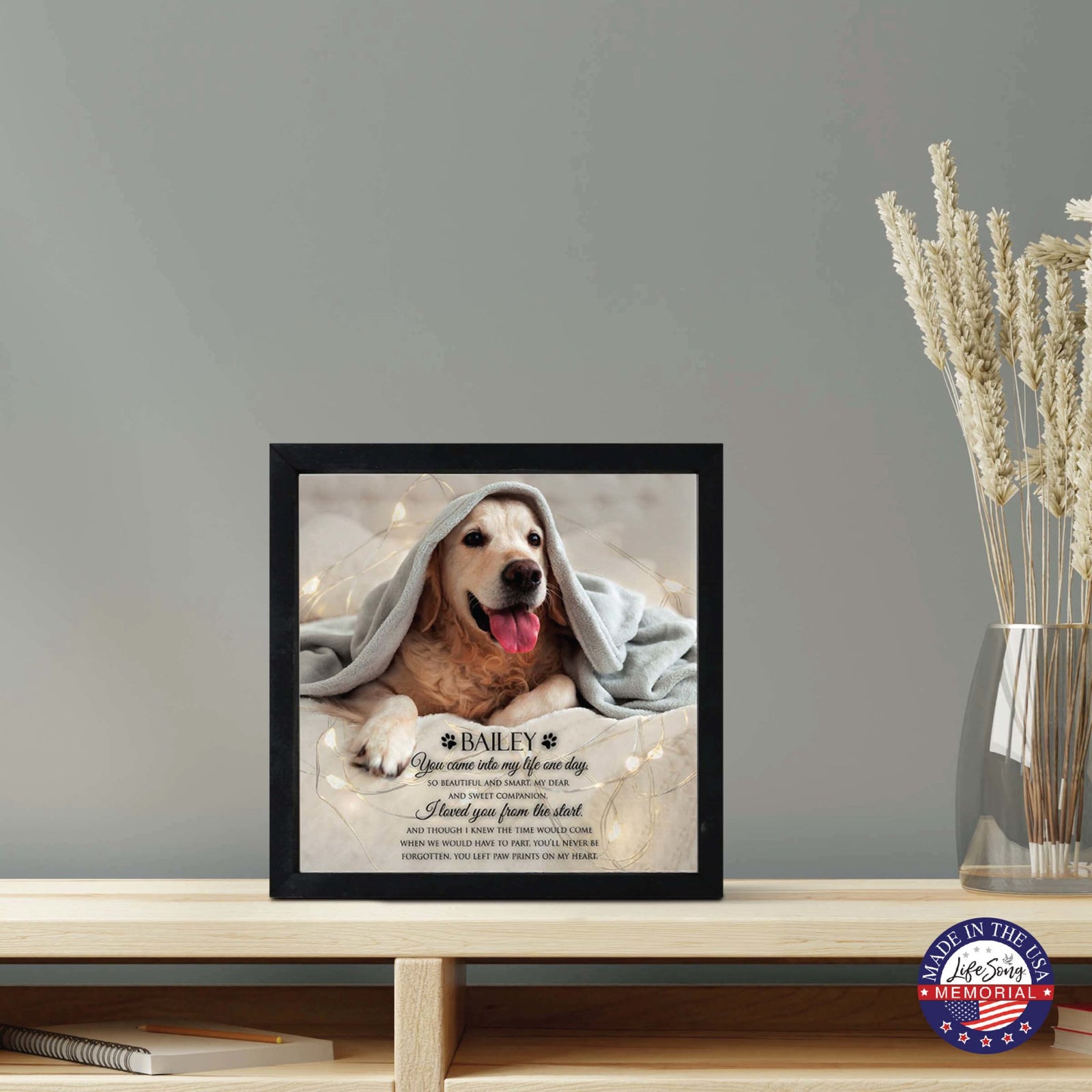Custom Pet Memorial Shadow Box Wall Décor for the Loss of Beloved Pet - You Came Into My Life - LifeSong Milestones