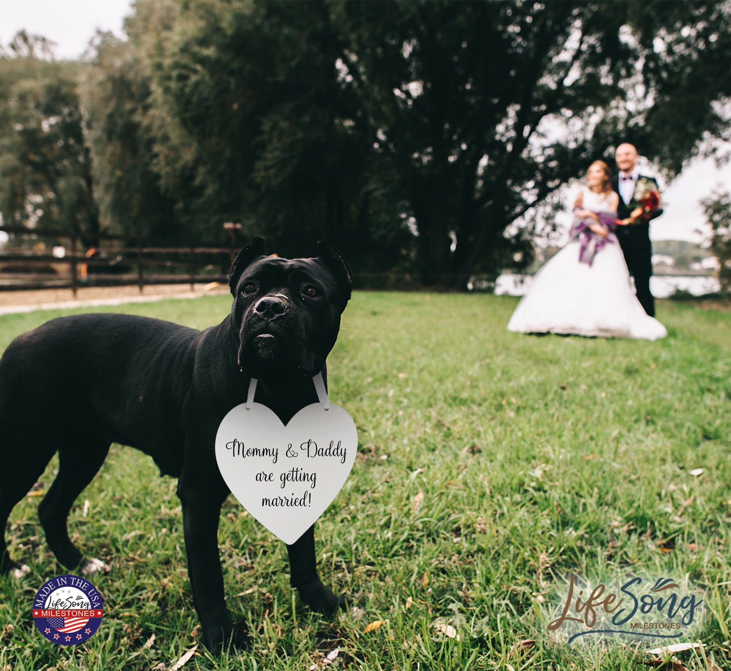 Digitally Printed Wedding Pet Heart Signs - Mommy & Daddy - LifeSong Milestones