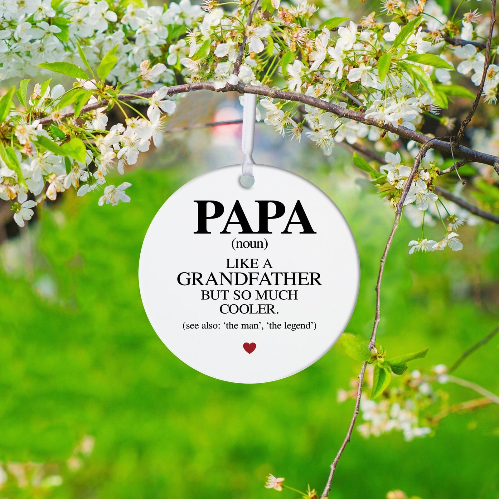 Grandparents White Ornament With Inspirational Message Gift Ideas - Papa (n.) Like A Grandfather - LifeSong Milestones