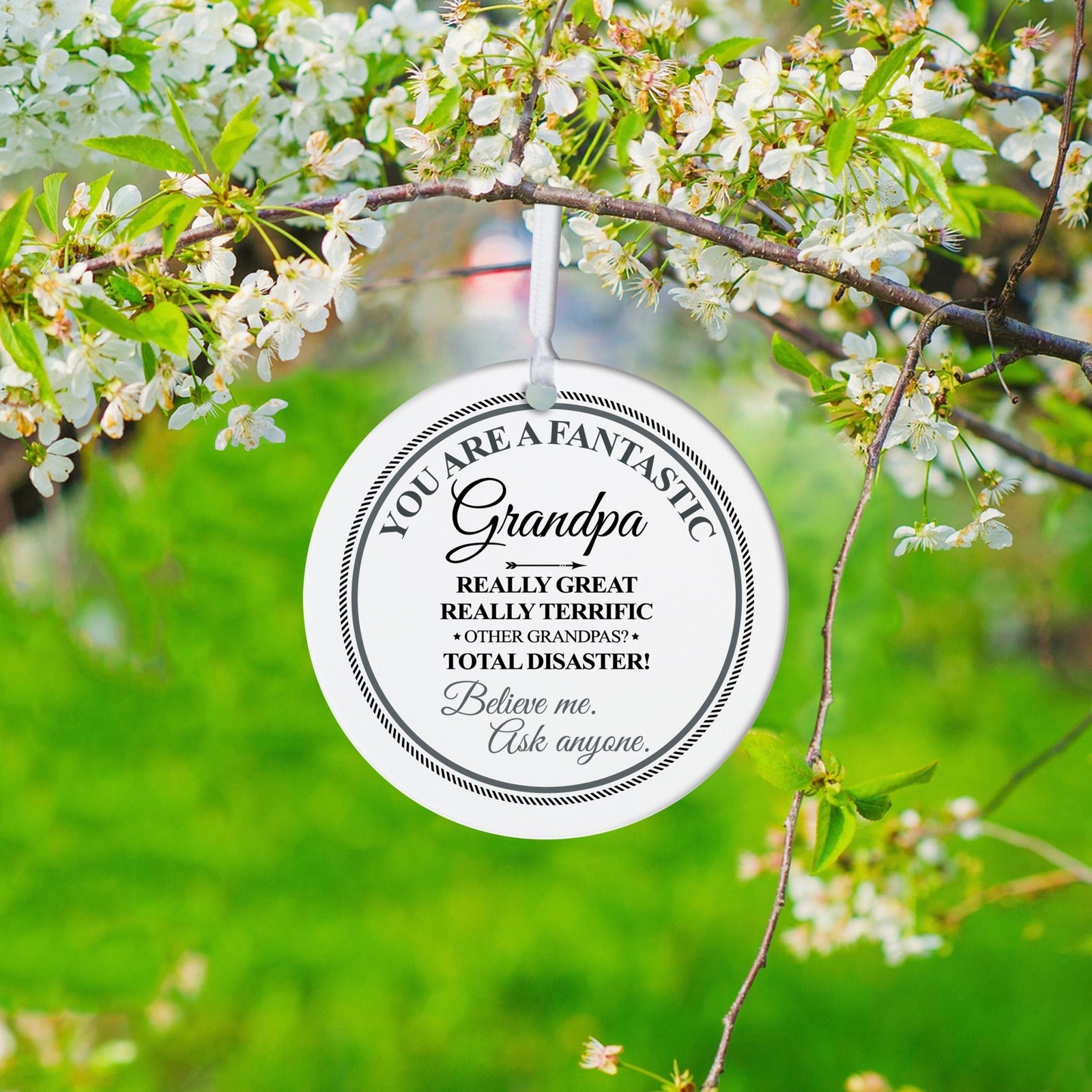 Grandparents White Ornament With Inspirational Message Gift Ideas - You Are Fantastic Grandpa - LifeSong Milestones