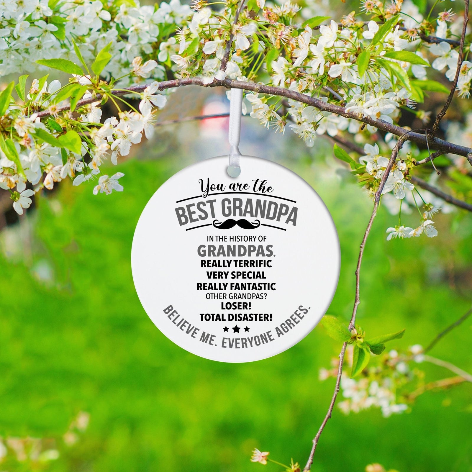 Grandparents White Ornament With Inspirational Message Gift Ideas - You Are The Best Grandpa - LifeSong Milestones