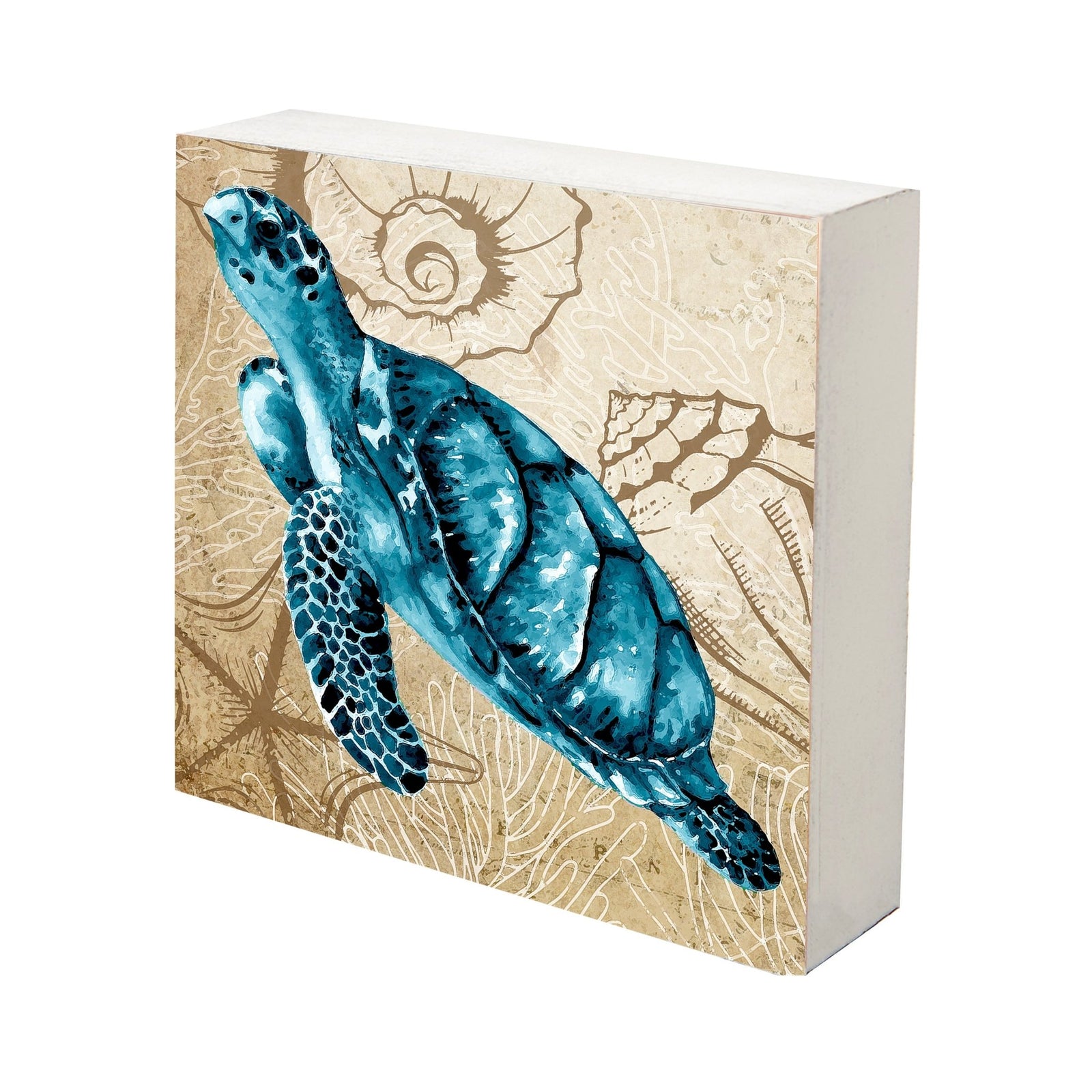 Modern Decorative Turtle Art Canvas Shadow Box - 10x10 - LifeSong Milestones