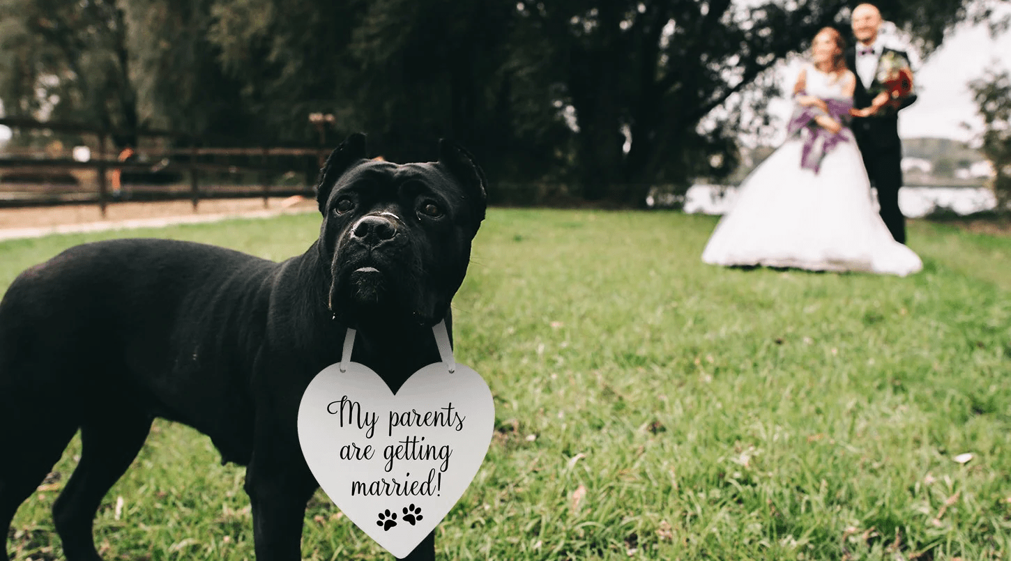 Cute Ways To Include Your Dog In Your Wedding Day - LifeSong Milestones