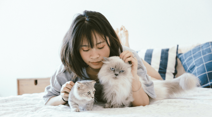 Heartfelt Memorial Products for Pets That Have Passed Away - LifeSong Milestones