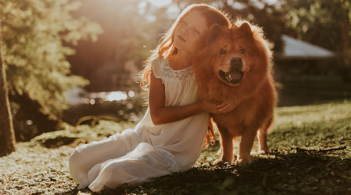 Helping Children Cope with Pet Loss: 8 Thoughtful Gifts Inspired by the Rainbow Bridge - LifeSong Milestones