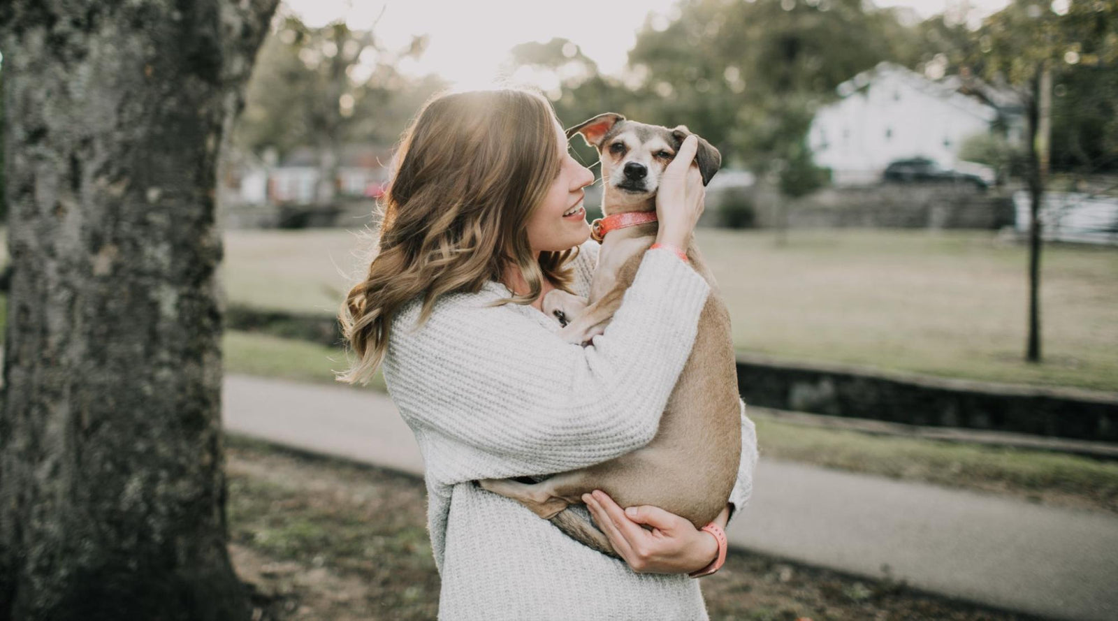 Top 8 Personalized Pet Urns That Are Affordable - LifeSong Milestones