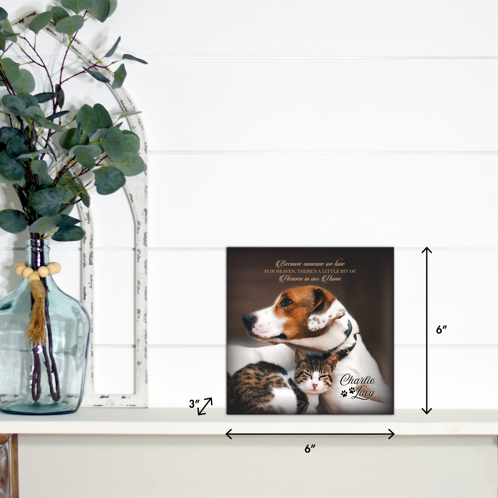 Pet Memorial Custom Photo Shadow Box Cremation Urn - Because Someone We Love Is In Heaven