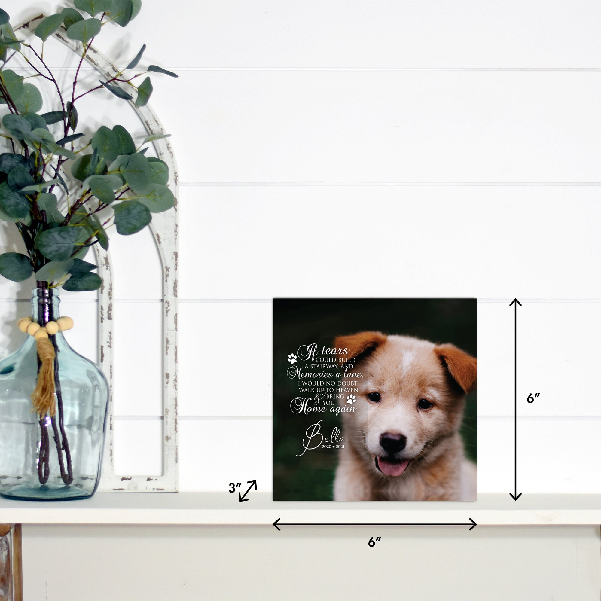 Pet Memorial Custom Photo Shadow Box Cremation Urn - If Tears Could Build A Stairway