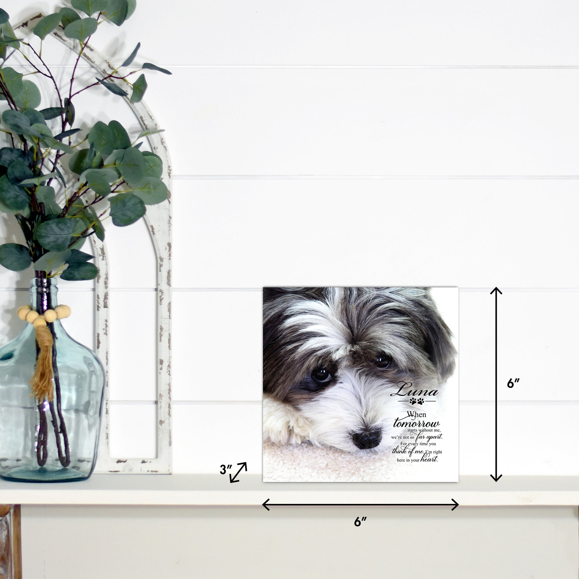 Pet Memorial Custom Photo Shadow Box Cremation Urn - When Tomorrow Starts Without Me