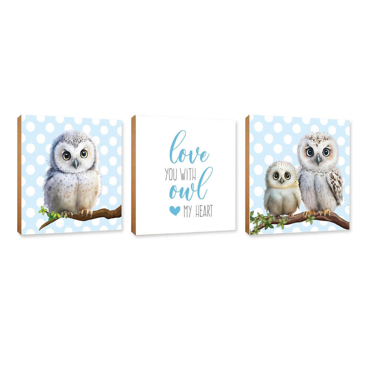 3pc Wooden Plaque |Owl Collection Table and Shelf Decor Valentines GIft Ideas - LifeSong Milestones