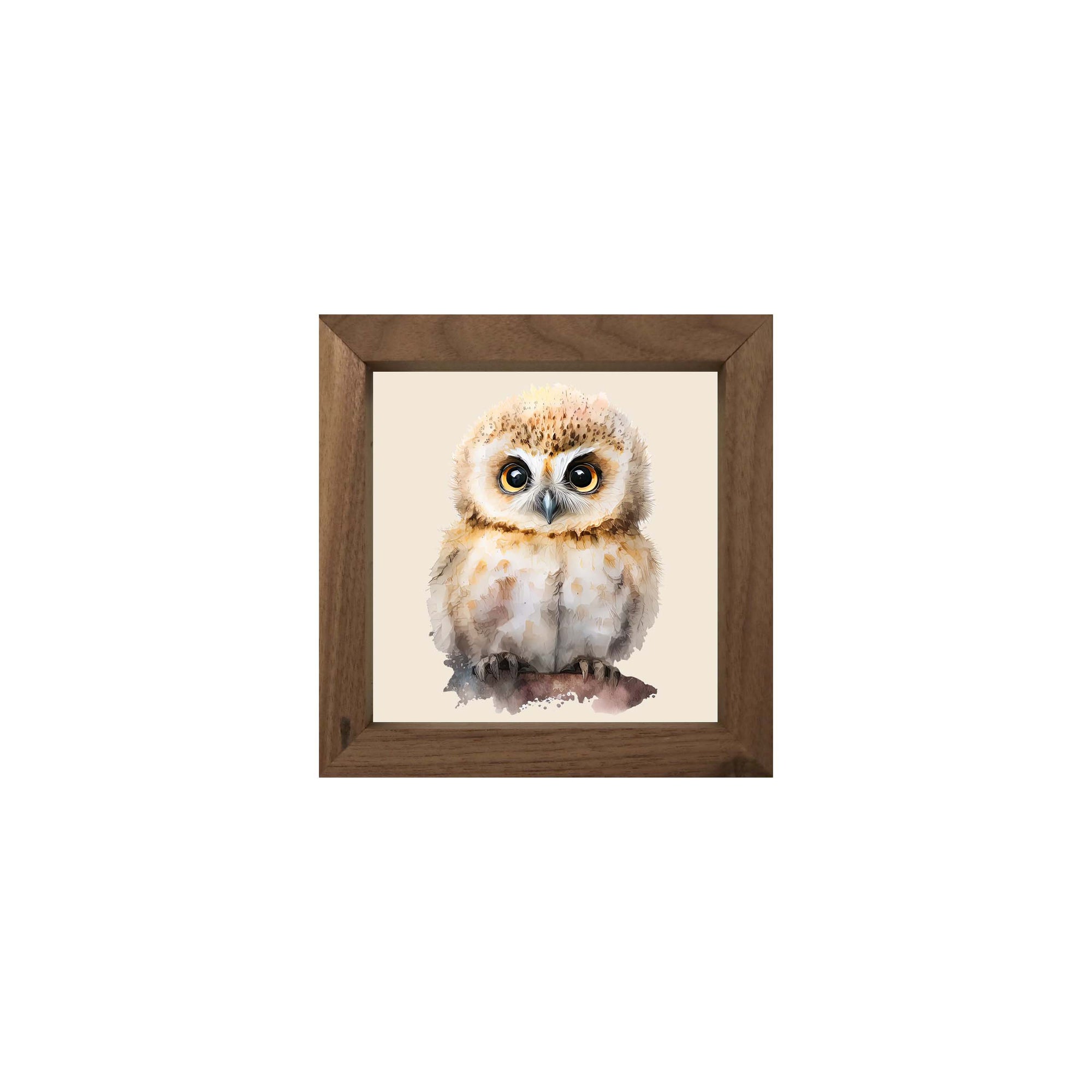 Owl Collection: 7x7 Wooden Wall Art Sign Framed Shadow Box| Baby Owl2