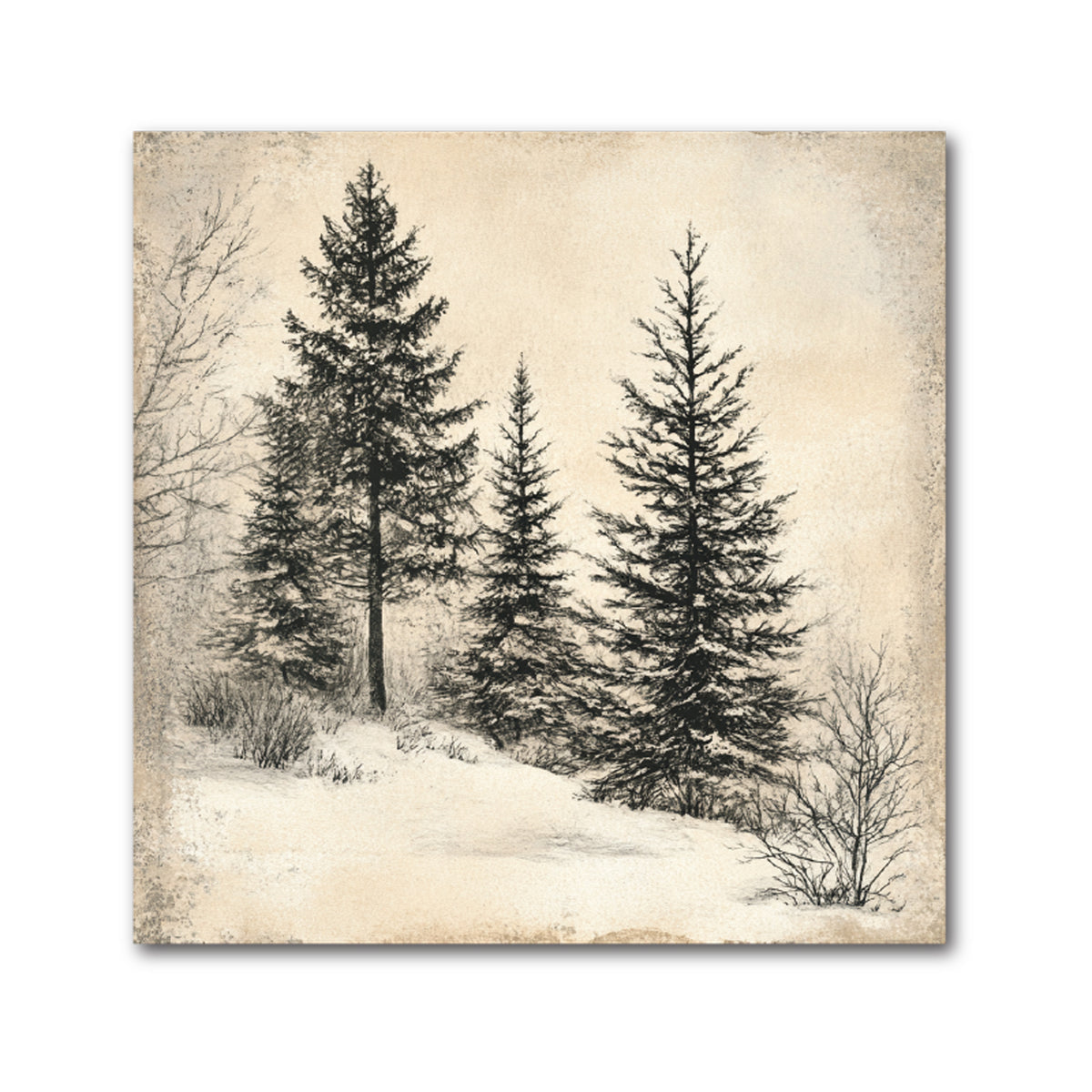 Pine Tree Christmas Decorative Tile - Sketched Evergreens on Parchment, Style 1, 4 x 4"