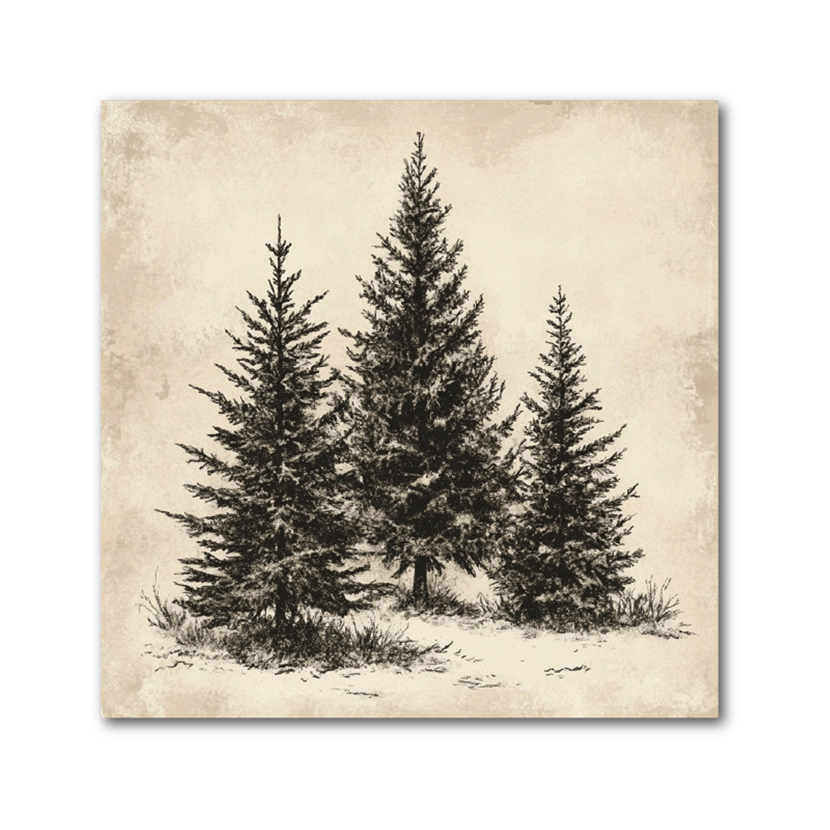 Square decorative tile of three dark sketched pine trees on a snowy hill over a parchment background
