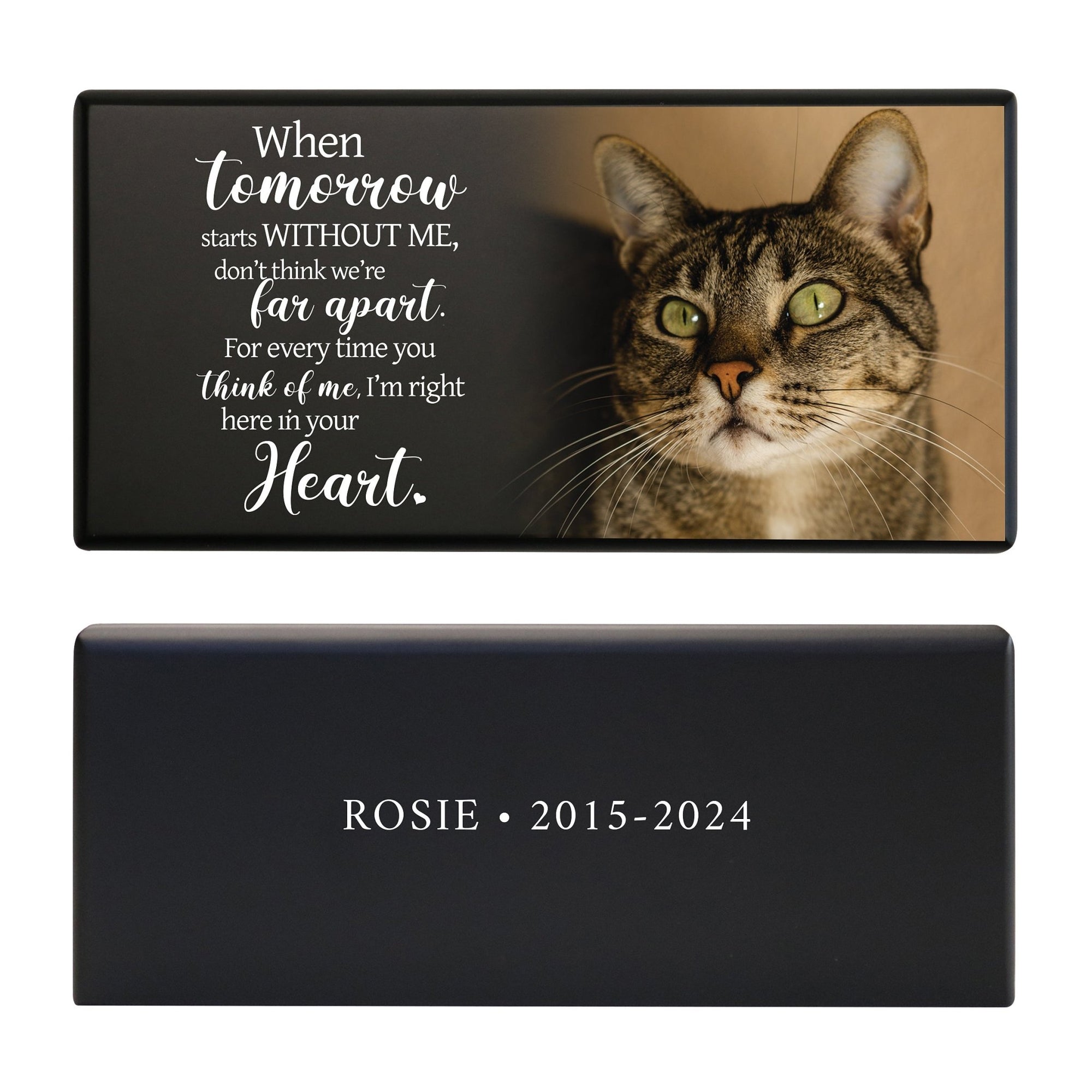 Biodegradable Pet Memorial Urn Box – A Sympathy Gift with Custom Engraving - When Tomorrow Starts - LifeSong Milestones