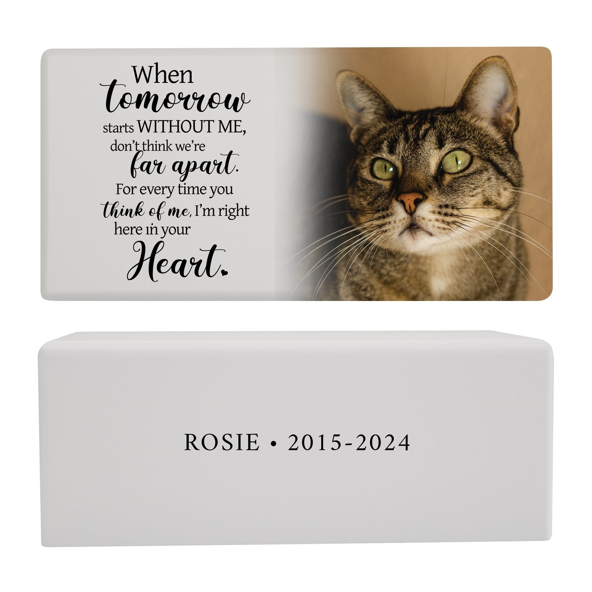 Biodegradable Pet Memorial Urn Box – A Sympathy Gift with Custom Engraving - When Tomorrow Starts - LifeSong Milestones