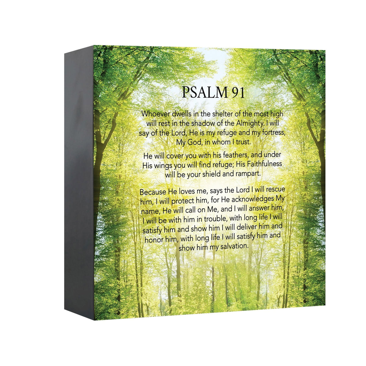 Cremation Urn for Human Ashes – Handcrafted Wooden Memorial Keepsake (Made in USA) - LifeSong Milestones