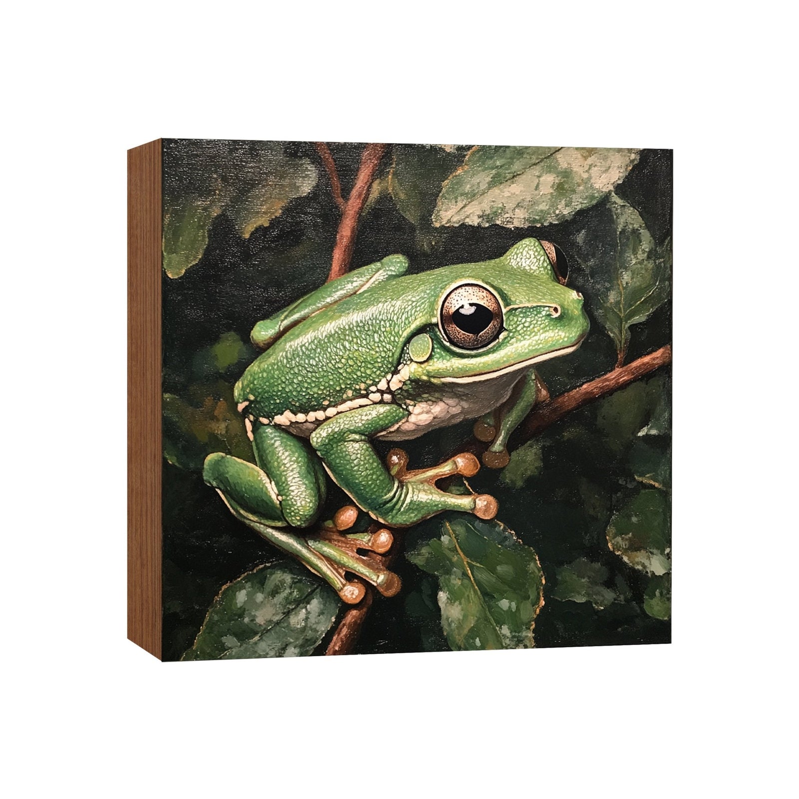 Frog Shelf Sitter 5x5 — Square Birch Wood Nature Décor for Tiered Tray & Shelf | Frog Lover Gift - LifeSong Milestones