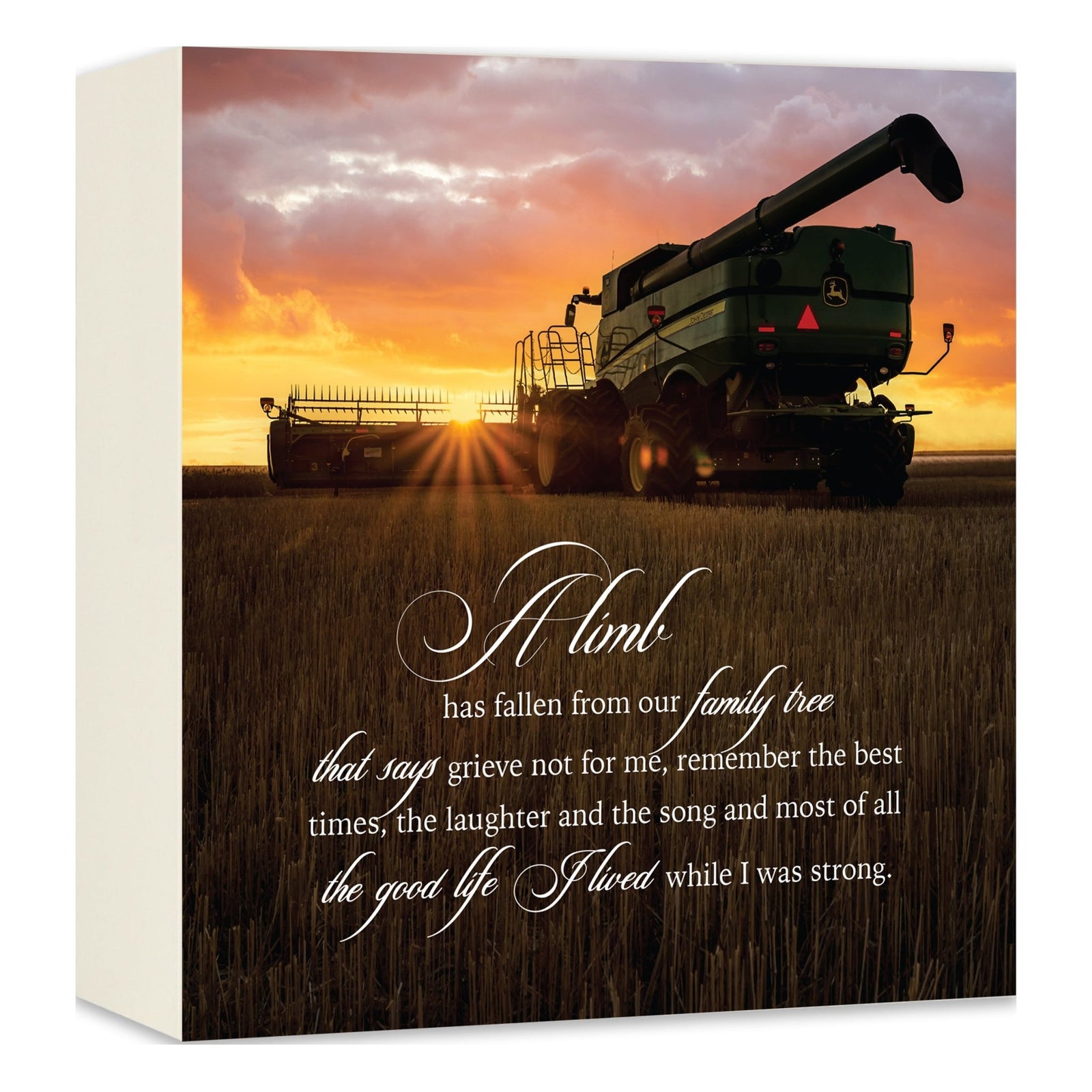 Handcrafted Funeral Urn Box – Wooden Memorial Display Box for Adult Ashes - LifeSong Milestones