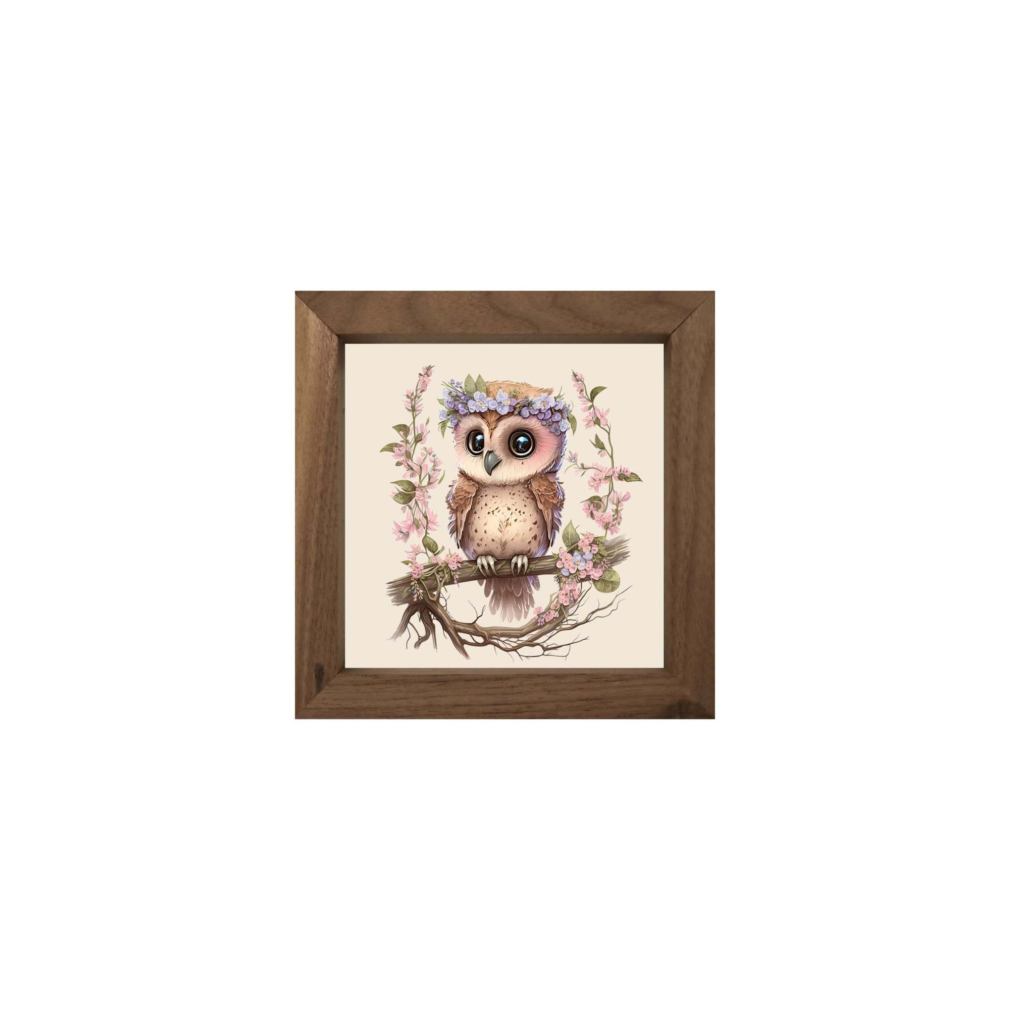 Owl Collection: 7x7 Wooden Wall Art Sign Framed Shadow Box| Baby Owl - LifeSong Milestones