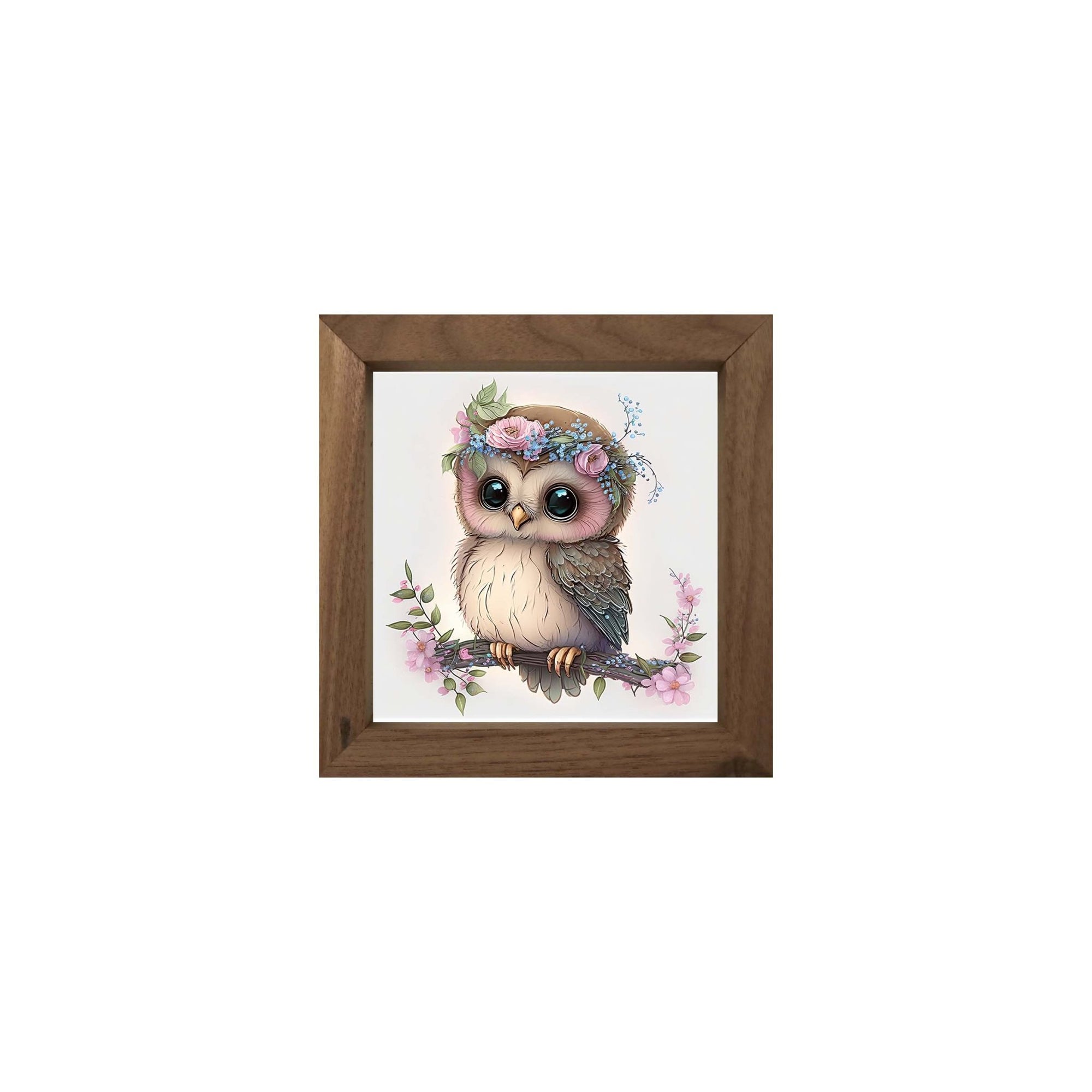 Owl Collection: 7x7 Wooden Wall Art Sign Framed Shadow Box| Baby Owl2 - LifeSong Milestones