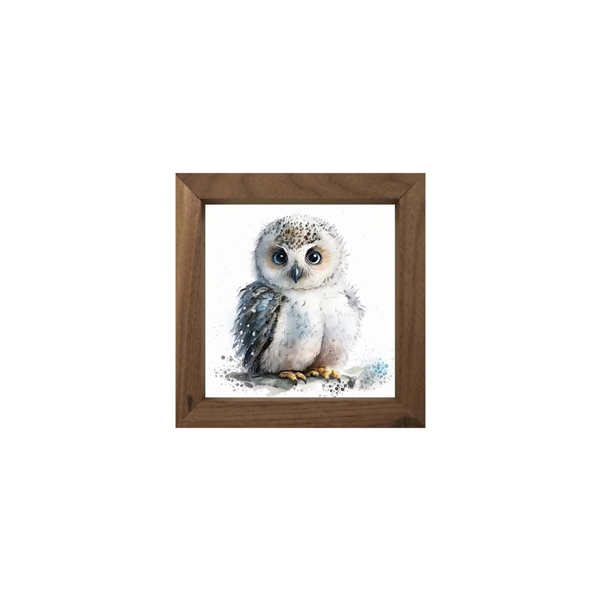 Owl Collection: 7x7 Wooden Wall Art Sign Framed Shadow Box| Baby Owl2 - LifeSong Milestones