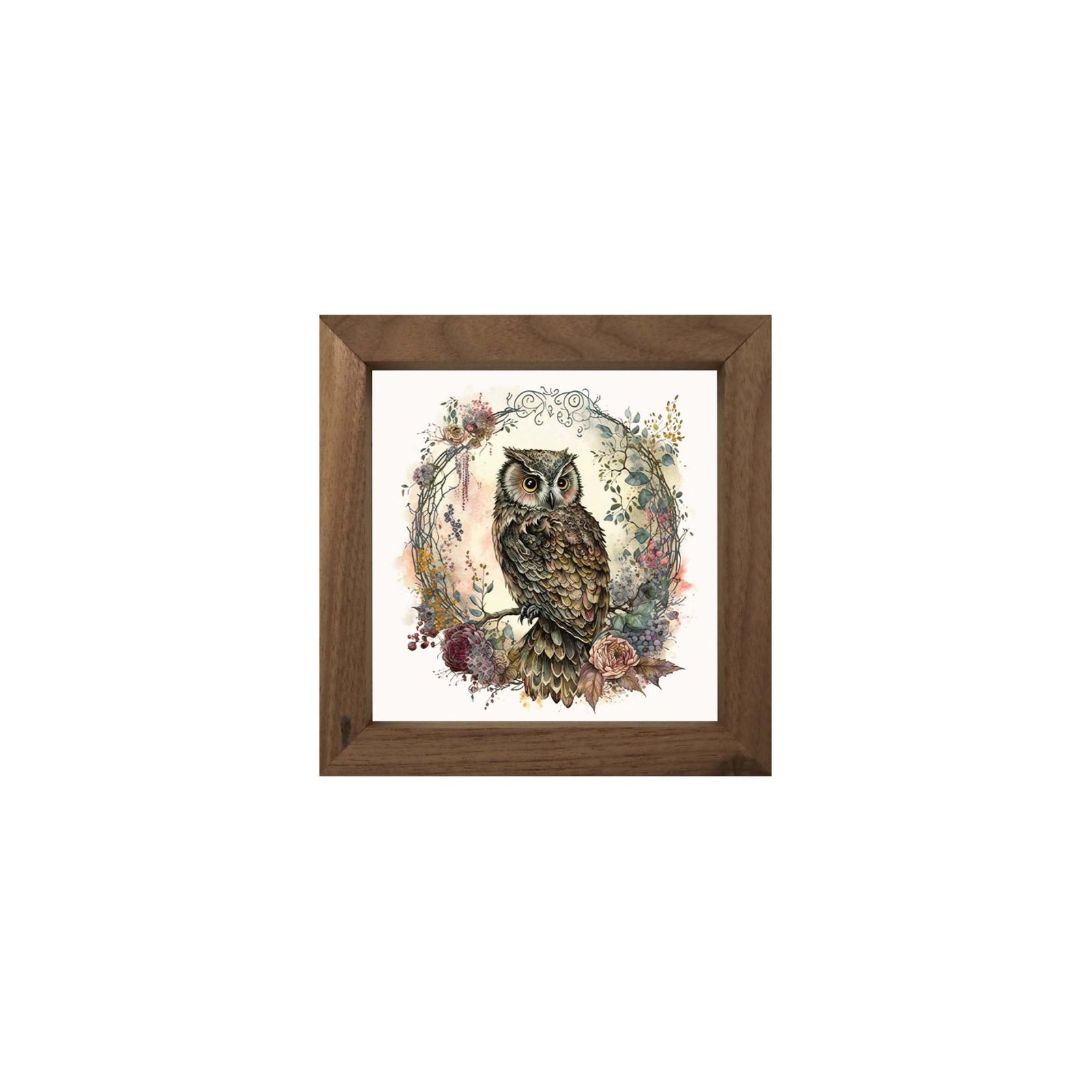 Owl Collection: 7x7 Wooden Wall Art Sign Framed Shadow Box| Large Owl - LifeSong Milestones