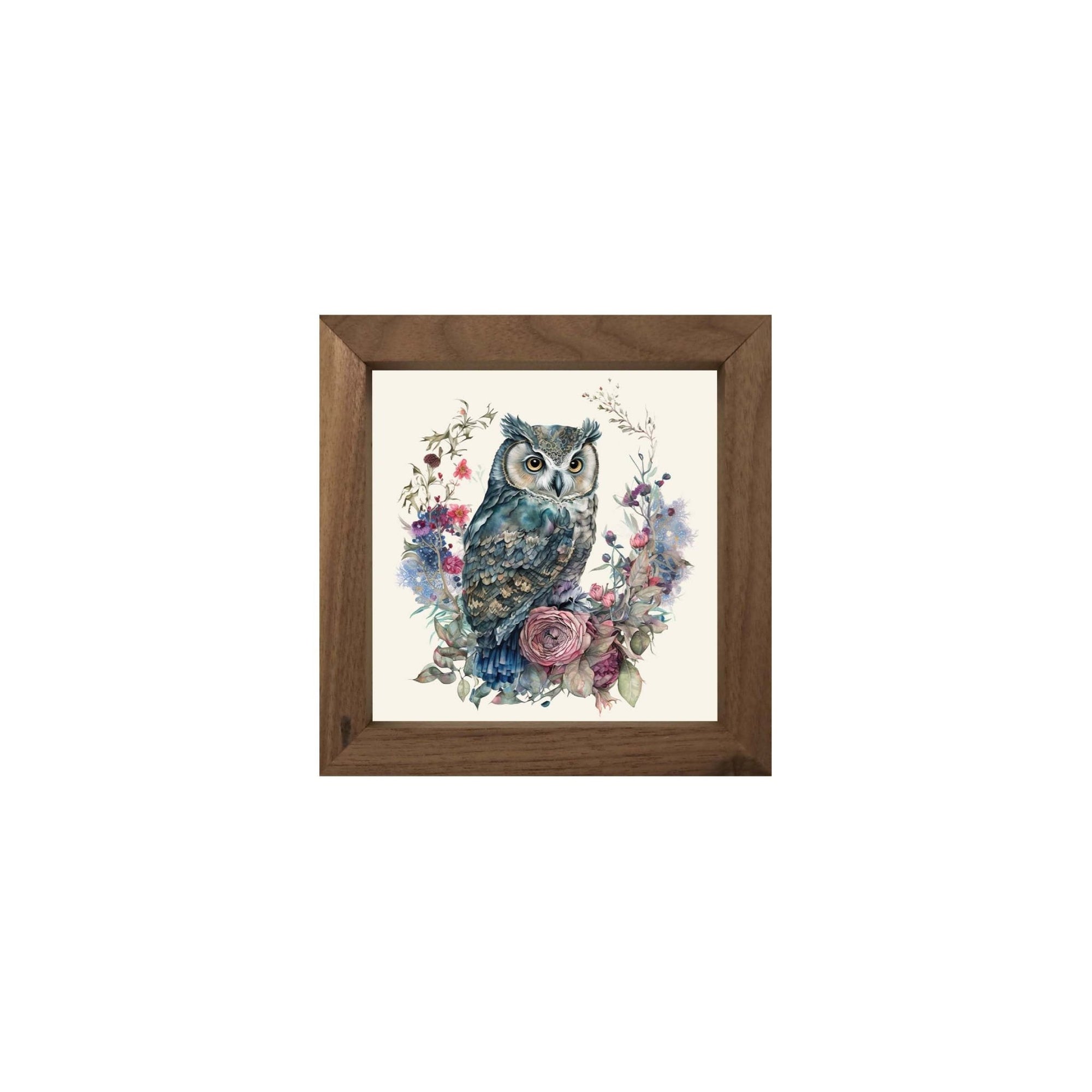 Owl Collection: 7x7 Wooden Wall Art Sign Framed Shadow Box| Large Owl - LifeSong Milestones