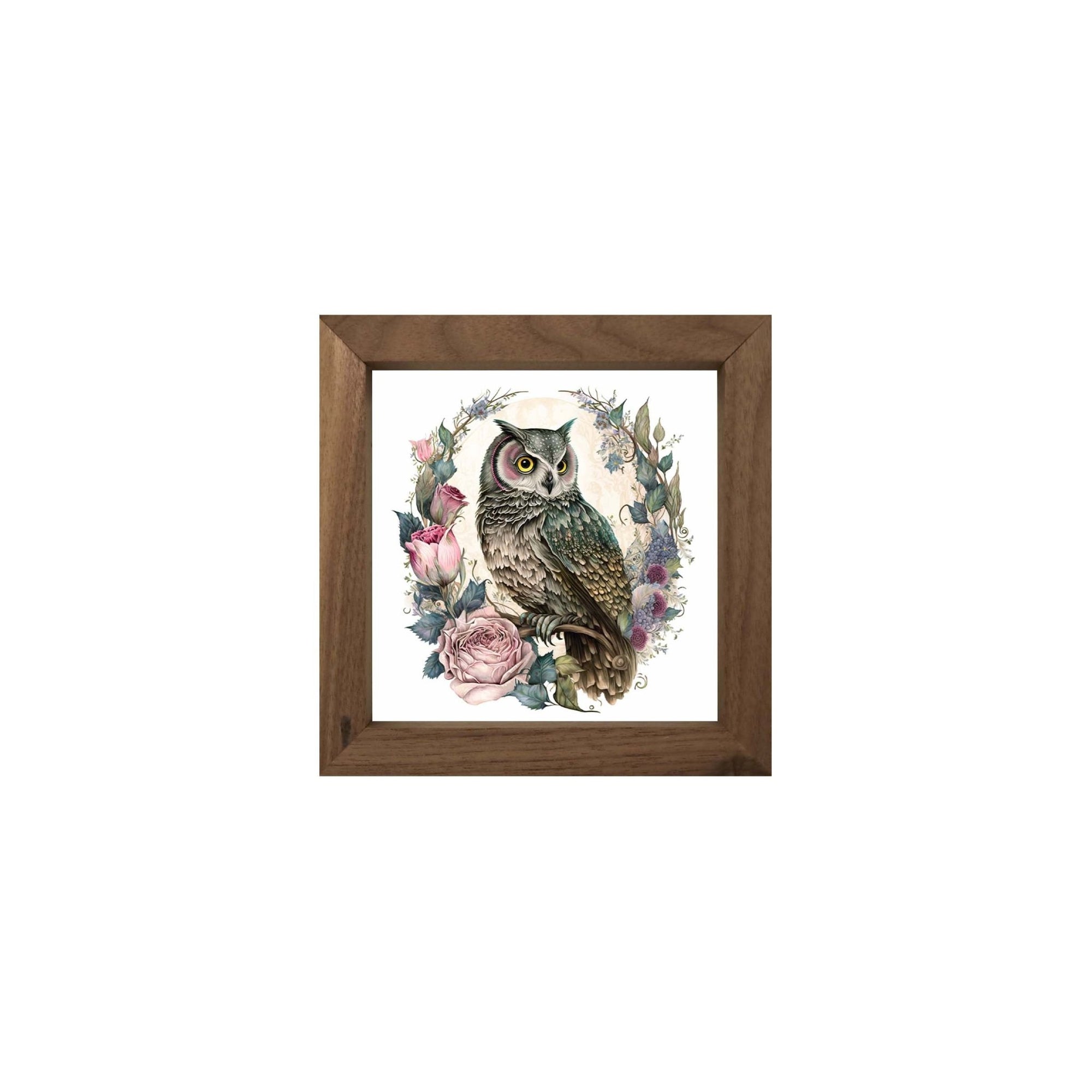 Owl Collection: 7x7 Wooden Wall Art Sign Framed Shadow Box| Large Owl2 - LifeSong Milestones