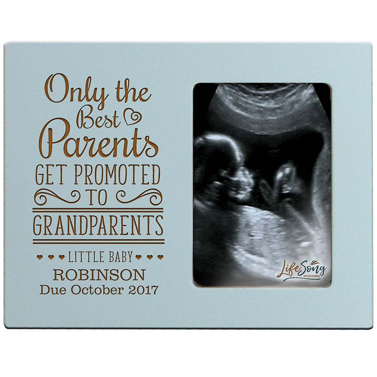 Personalized New Baby birth announcement picture frame - LifeSong Milestones