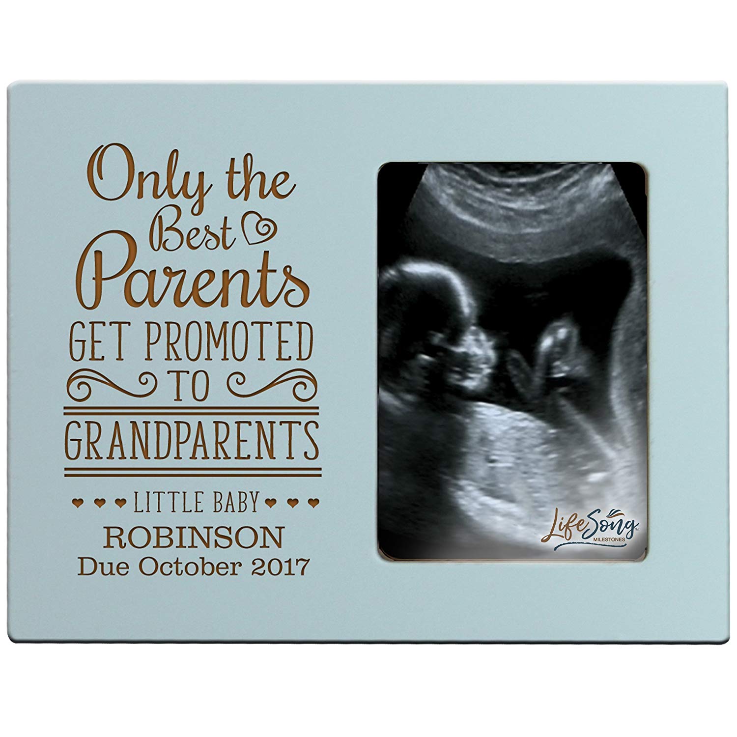 Personalized New Baby birth announcement picture frame - LifeSong Milestones