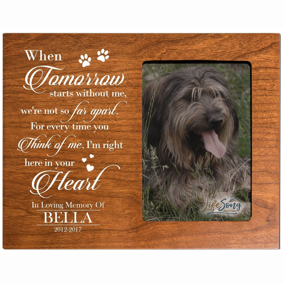 Personalized Pet Memorial Photo Frame - When Tomorrow Starts - LifeSong Milestones