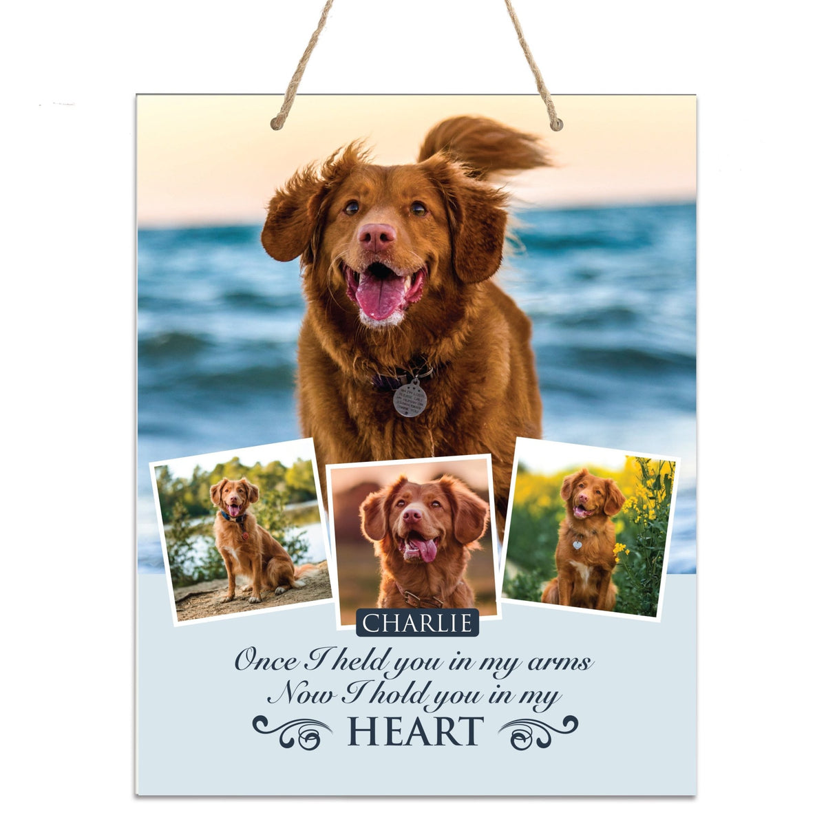 Personalized Pet Memorial Rope Wall Sign Decor - LifeSong Milestones