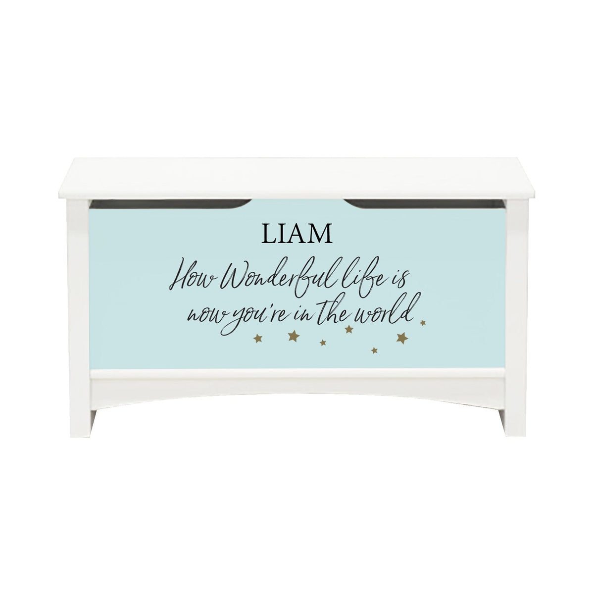Personalized Room Organizer Toy Blanket Storage Chest Box - (BOYS AND GIRLS) - LifeSong Milestones