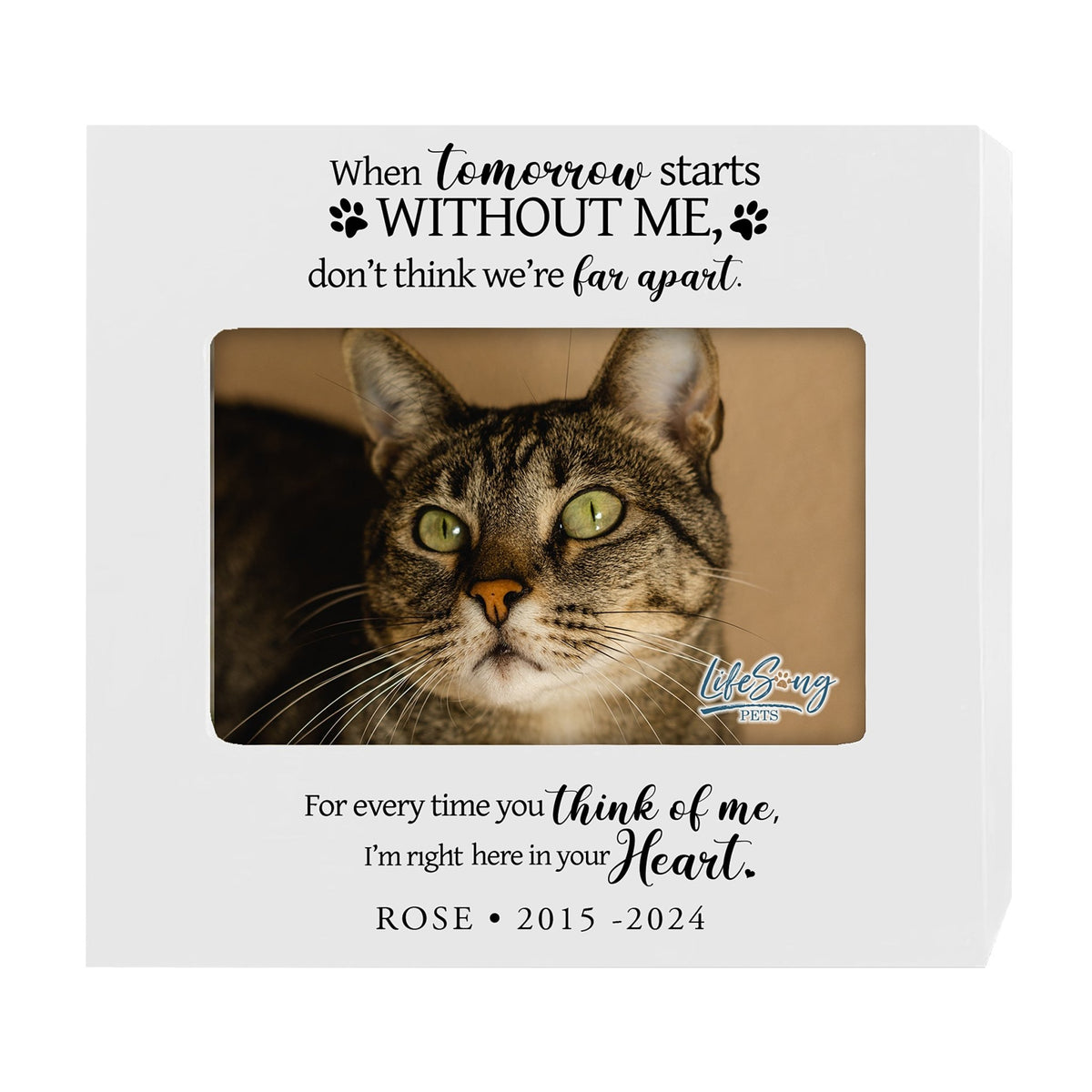 Personalized Wooden Pet Urn with Photo – Handcrafted Pet Remembrance Urn for Dogs & Cats - When Tomorrow Starts - LifeSong Milestones