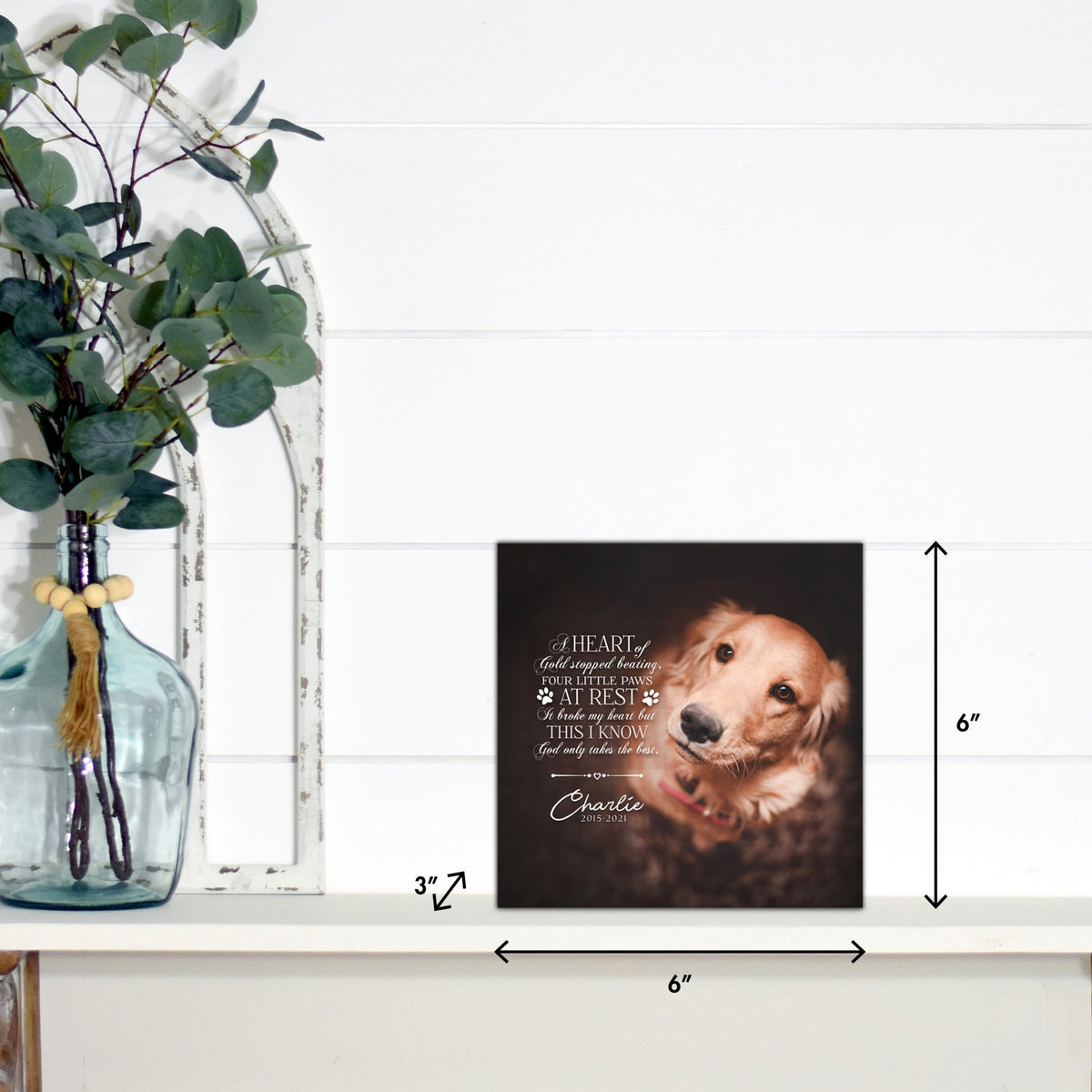 Lifesong Milestones pet memorial shadow box featuring a custom photo of a beloved pet, displayed on a white wooden shelf alongside a decorative vase of eucalyptus leaves. It is a perfect bereavement keepsake box and a thoughtful gift for loss of a pet.