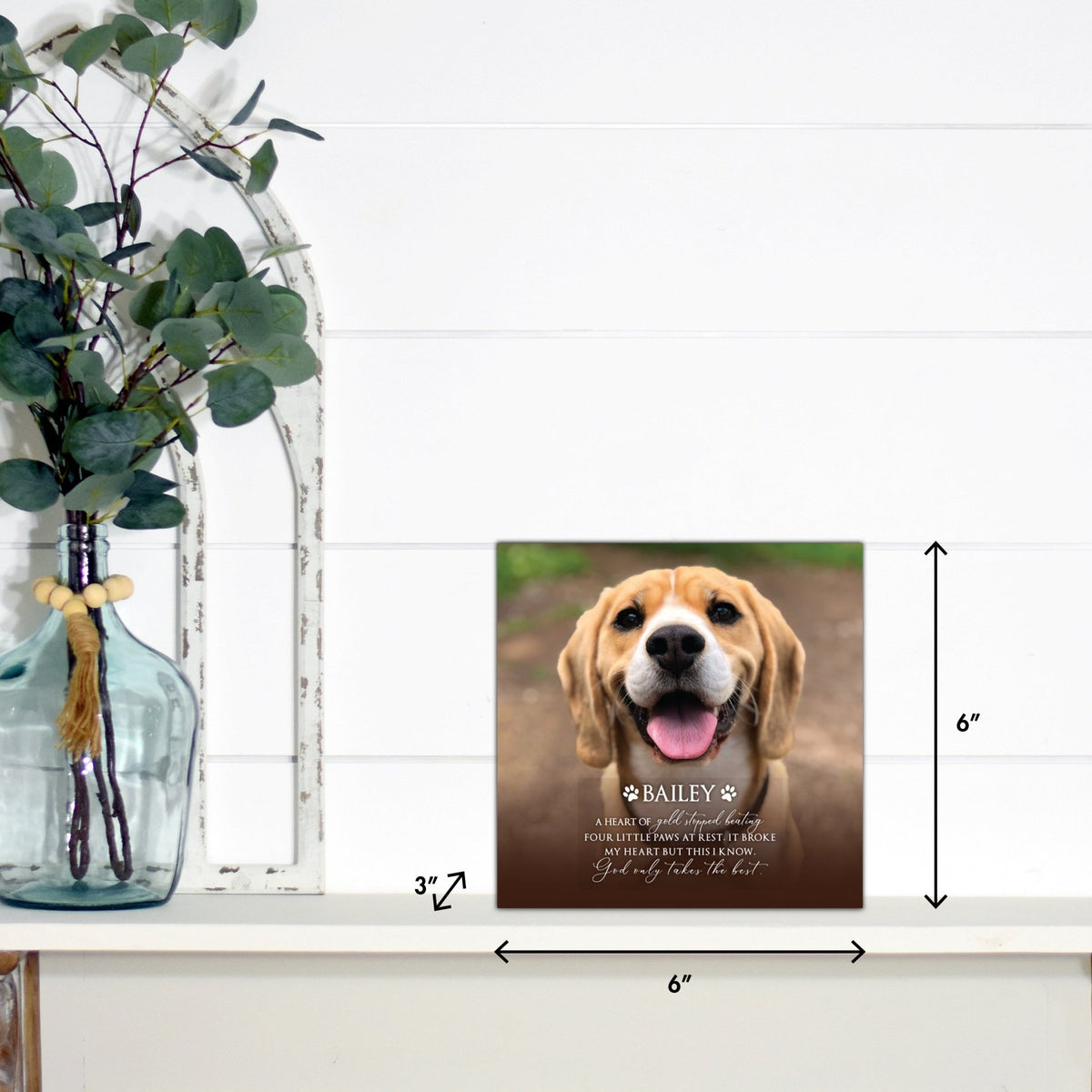 Lifesong Milestones pet memorial shadow box featuring a custom photo of a beloved pet, displayed on a white wooden shelf alongside a decorative vase of eucalyptus leaves. It is a perfect bereavement keepsake box and a thoughtful gift for loss of a pet.