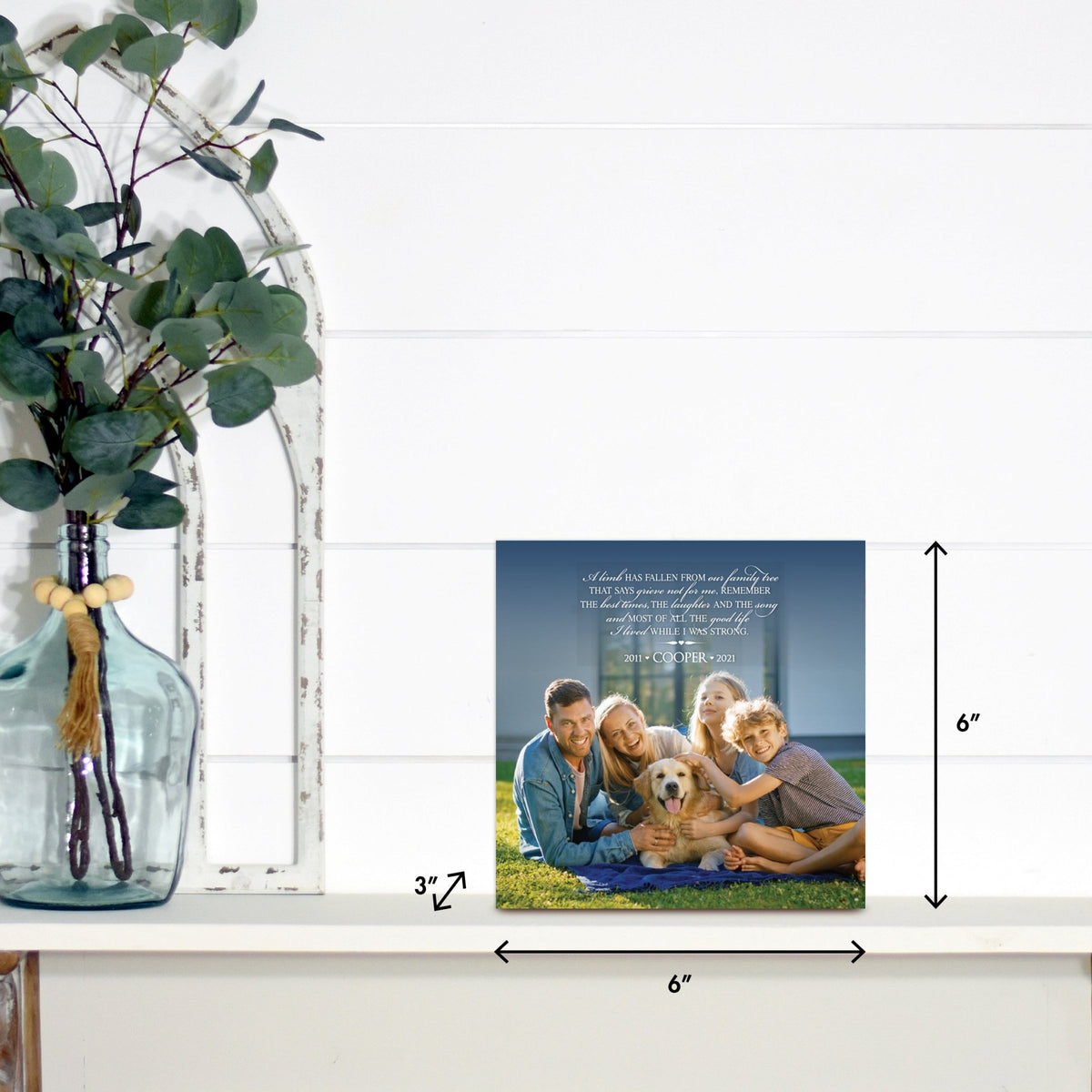 Lifesong Milestones pet memorial shadow box featuring a custom photo of a beloved pet, displayed on a white wooden shelf alongside a decorative vase of eucalyptus leaves. It is a perfect bereavement keepsake box and a thoughtful gift for loss of a pet.
