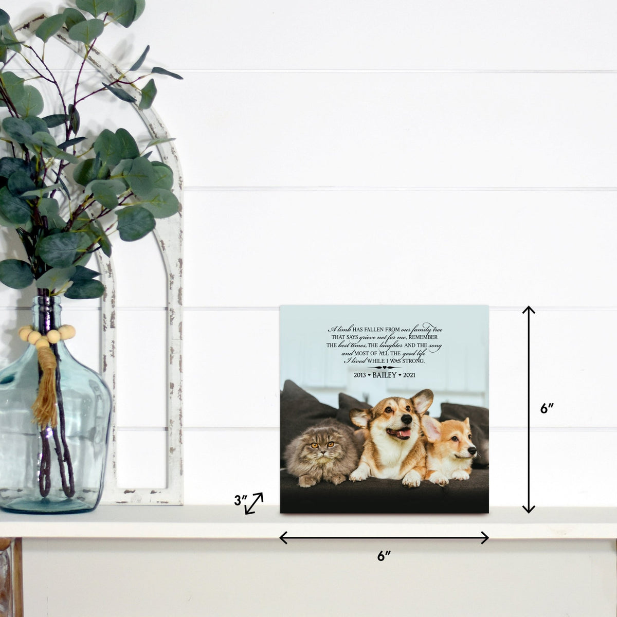 Lifesong Milestones pet memorial shadow box featuring a custom photo of a beloved pet, displayed on a white wooden shelf alongside a decorative vase of eucalyptus leaves. It is a perfect bereavement keepsake box and a thoughtful gift for loss of a pet.