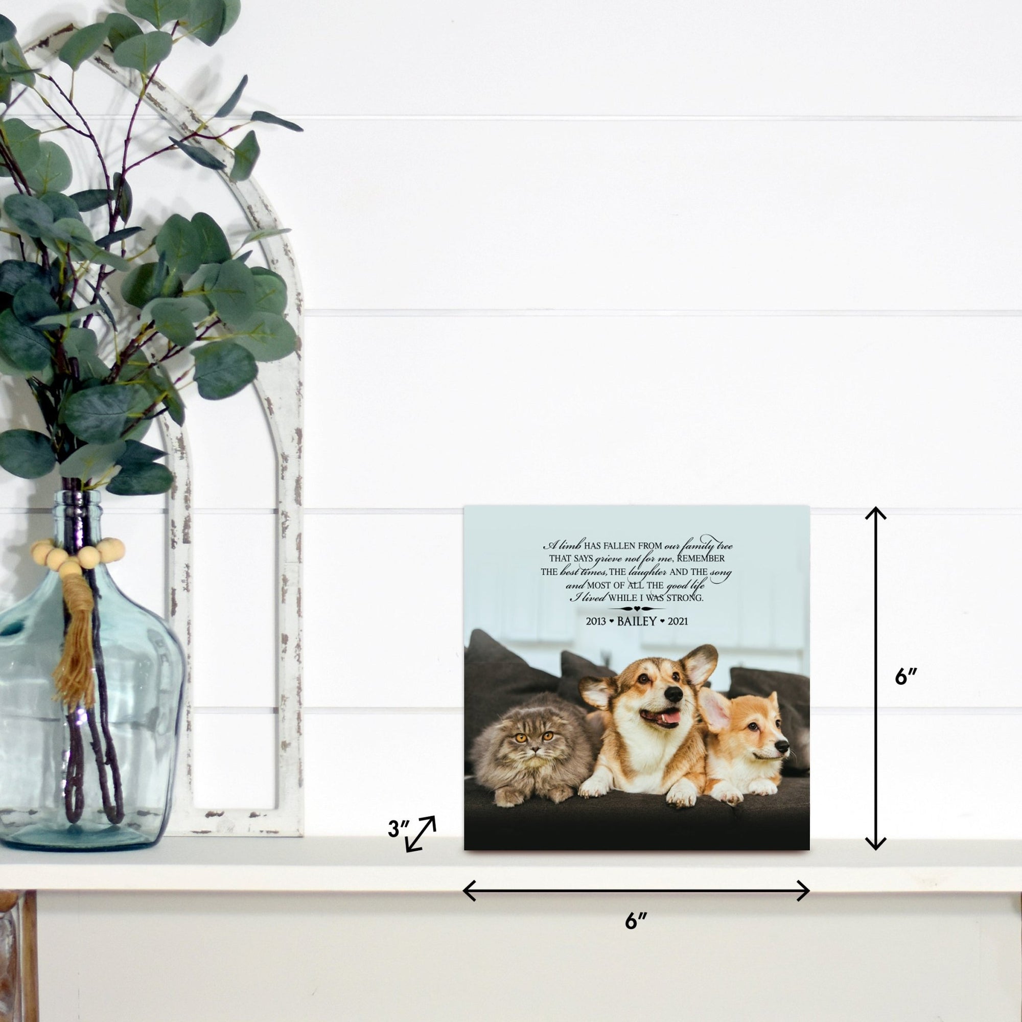 Lifesong Milestones pet memorial shadow box featuring a custom photo of a beloved pet, displayed on a white wooden shelf alongside a decorative vase of eucalyptus leaves. It is a perfect bereavement keepsake box and a thoughtful gift for loss of a pet.