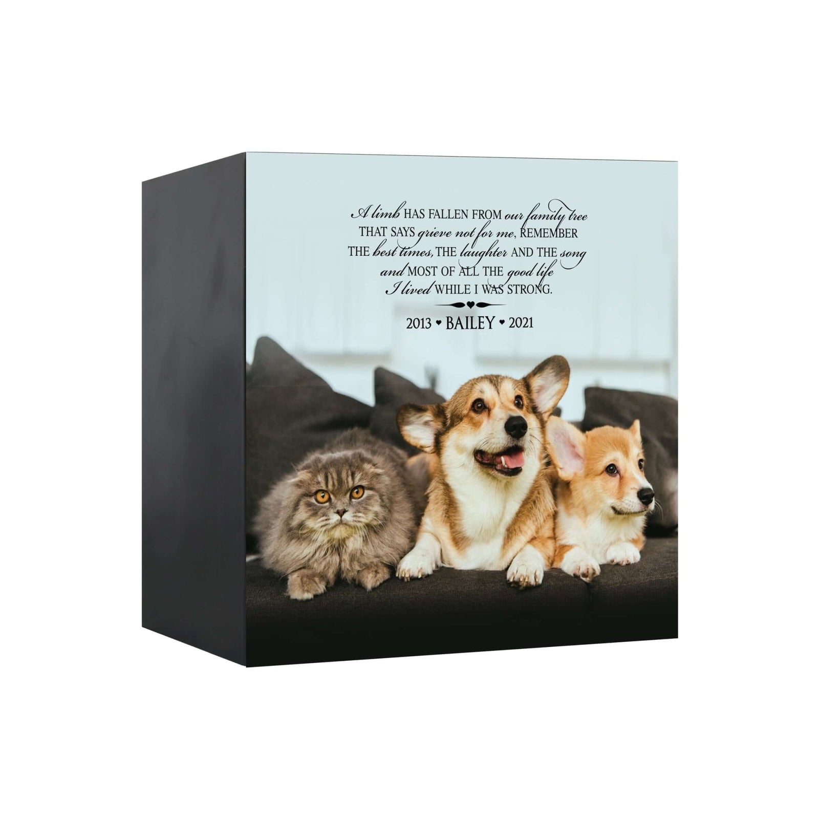 Close-up view of a Lifesong Milestones shadow box urn for dog or cat ashes, featuring a custom photo and a touching message. A high-quality wooden pet urn for ashes and a meaningful bereavement gift for someone who lost a pet.