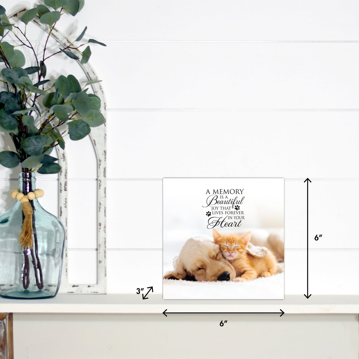 Lifesong Milestones pet memorial shadow box featuring a custom photo of a beloved pet, displayed on a white wooden shelf alongside a decorative vase of eucalyptus leaves. It is a perfect bereavement keepsake box and a thoughtful gift for loss of a pet.