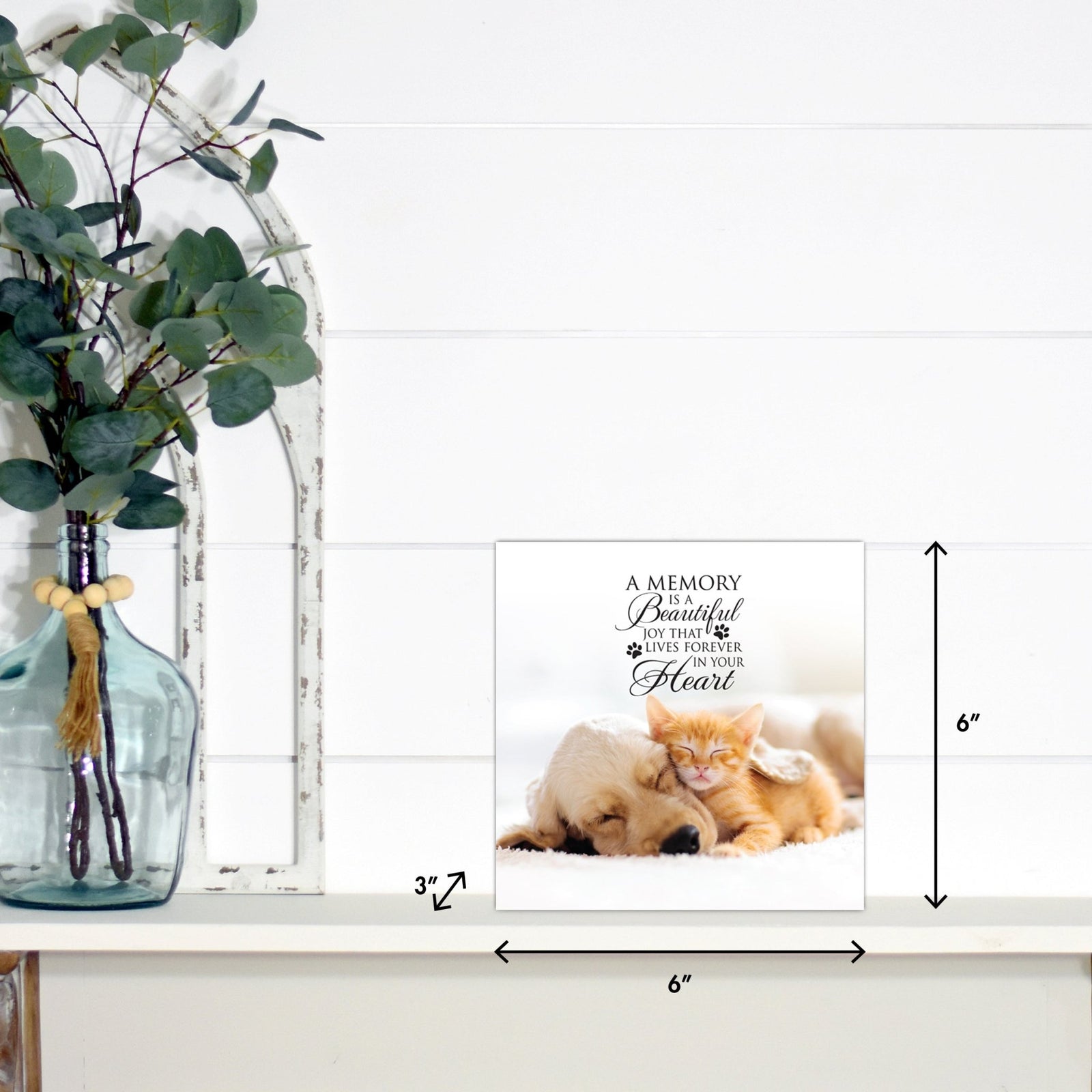 Lifesong Milestones pet memorial shadow box featuring a custom photo of a beloved pet, displayed on a white wooden shelf alongside a decorative vase of eucalyptus leaves. It is a perfect bereavement keepsake box and a thoughtful gift for loss of a pet.