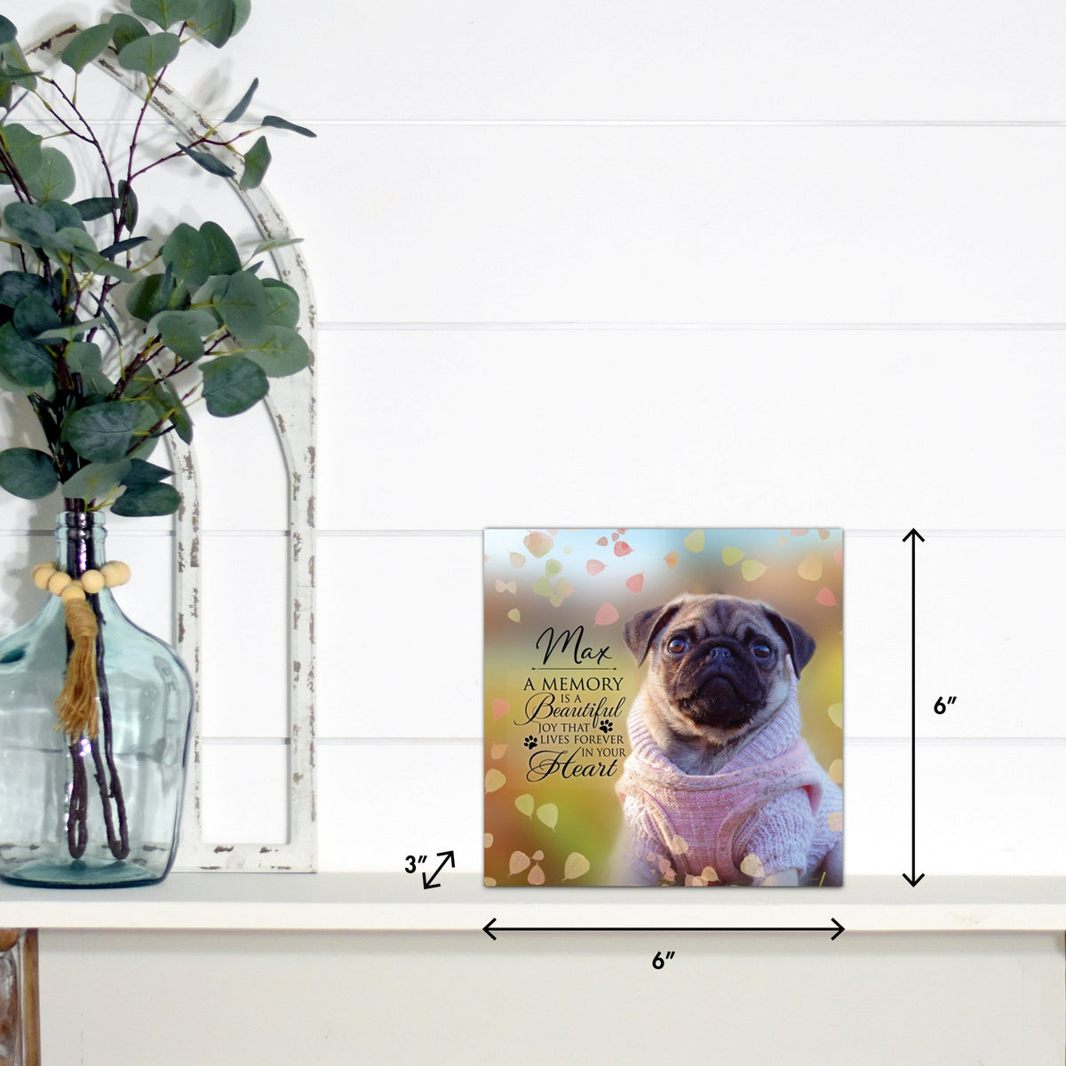 Lifesong Milestones pet memorial shadow box featuring a custom photo of a beloved pet, displayed on a white wooden shelf alongside a decorative vase of eucalyptus leaves. It is a perfect bereavement keepsake box and a thoughtful gift for loss of a pet.