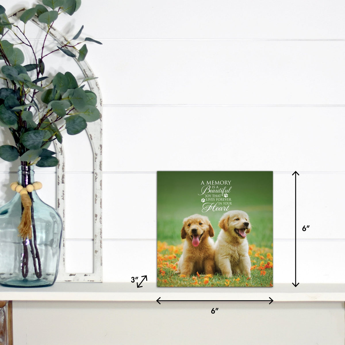 Lifesong Milestones pet memorial shadow box featuring a photo of a beloved pet, displayed on a white wooden shelf alongside a decorative vase of eucalyptus leaves. It is a perfect bereavement keepsake box and a thoughtful gift for loss of a pet.