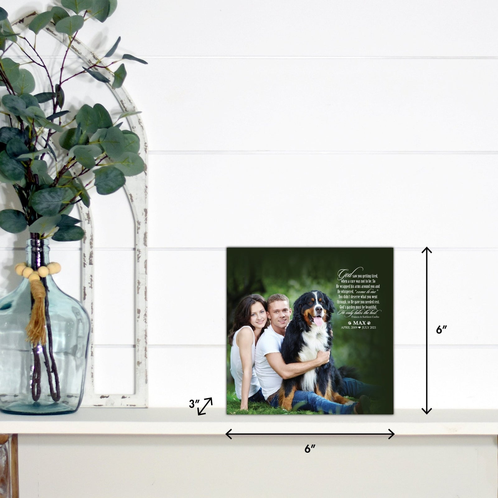 Lifesong Milestones pet memorial shadow box featuring a custom photo of a beloved pet, displayed on a white wooden shelf alongside a decorative vase of eucalyptus leaves. It is a perfect bereavement keepsake box and a thoughtful gift for loss of a pet.