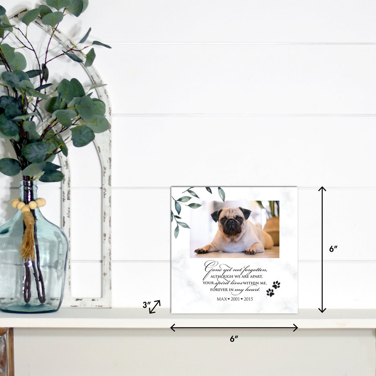Lifesong Milestones pet memorial shadow box featuring a custom photo of a beloved pet, displayed on a white wooden shelf alongside a decorative vase of eucalyptus leaves. It is a perfect bereavement keepsake box and a thoughtful gift for loss of a pet.