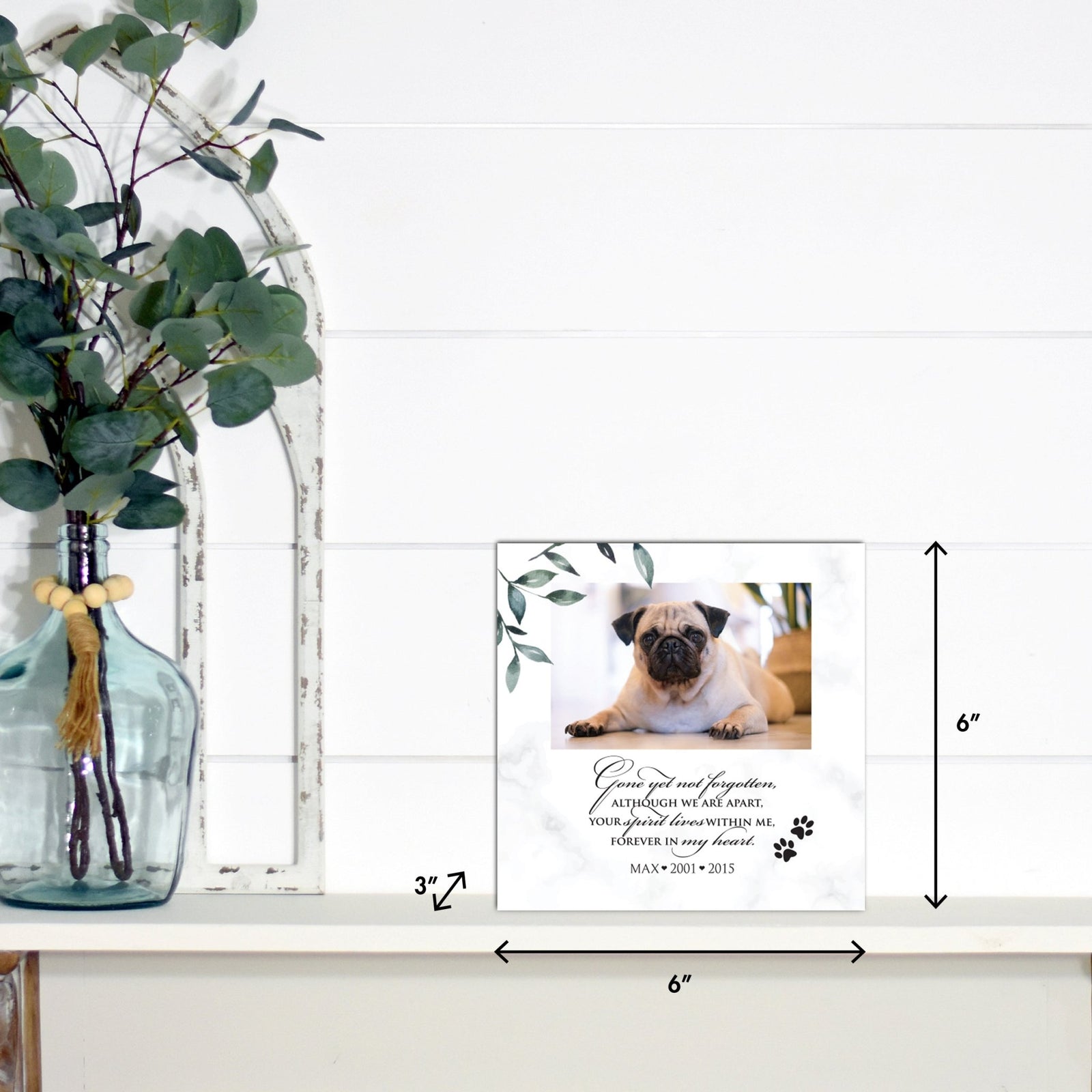 Lifesong Milestones pet memorial shadow box featuring a custom photo of a beloved pet, displayed on a white wooden shelf alongside a decorative vase of eucalyptus leaves. It is a perfect bereavement keepsake box and a thoughtful gift for loss of a pet.